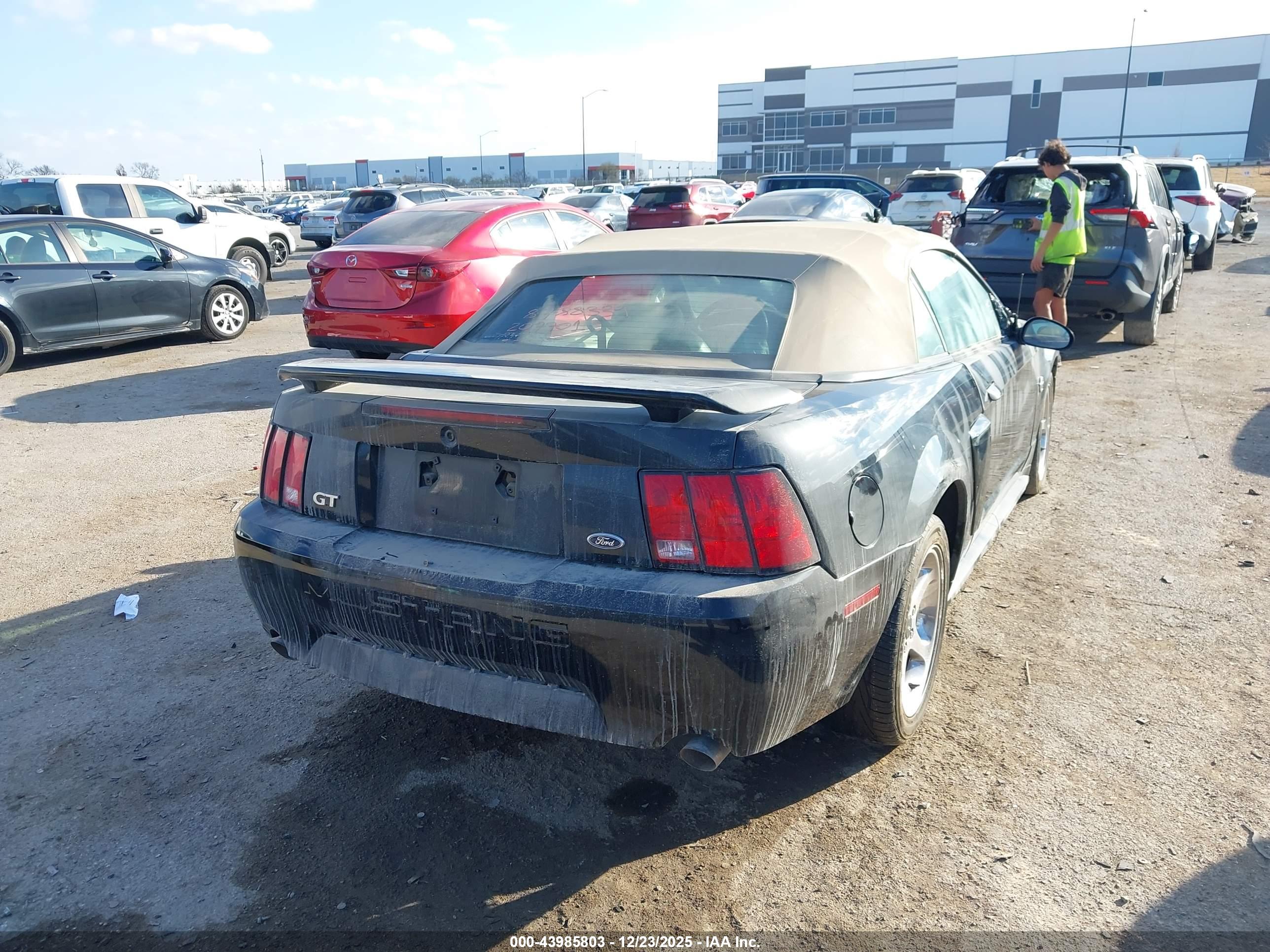 FORD MUSTANG image 4