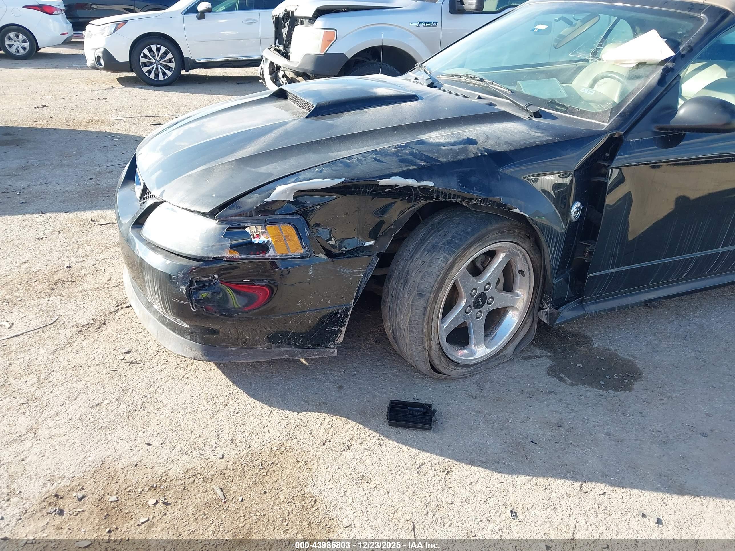 FORD MUSTANG image 6