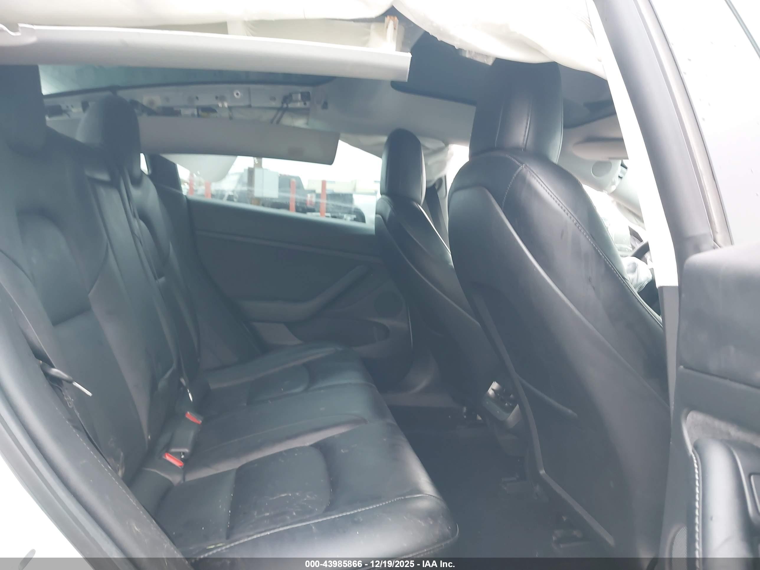 TESLA MODEL image 8