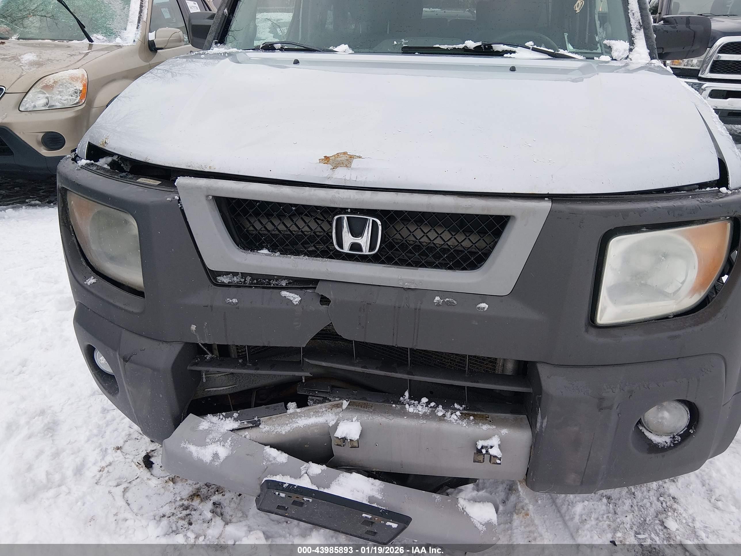 HONDA ELEMENT image 6
