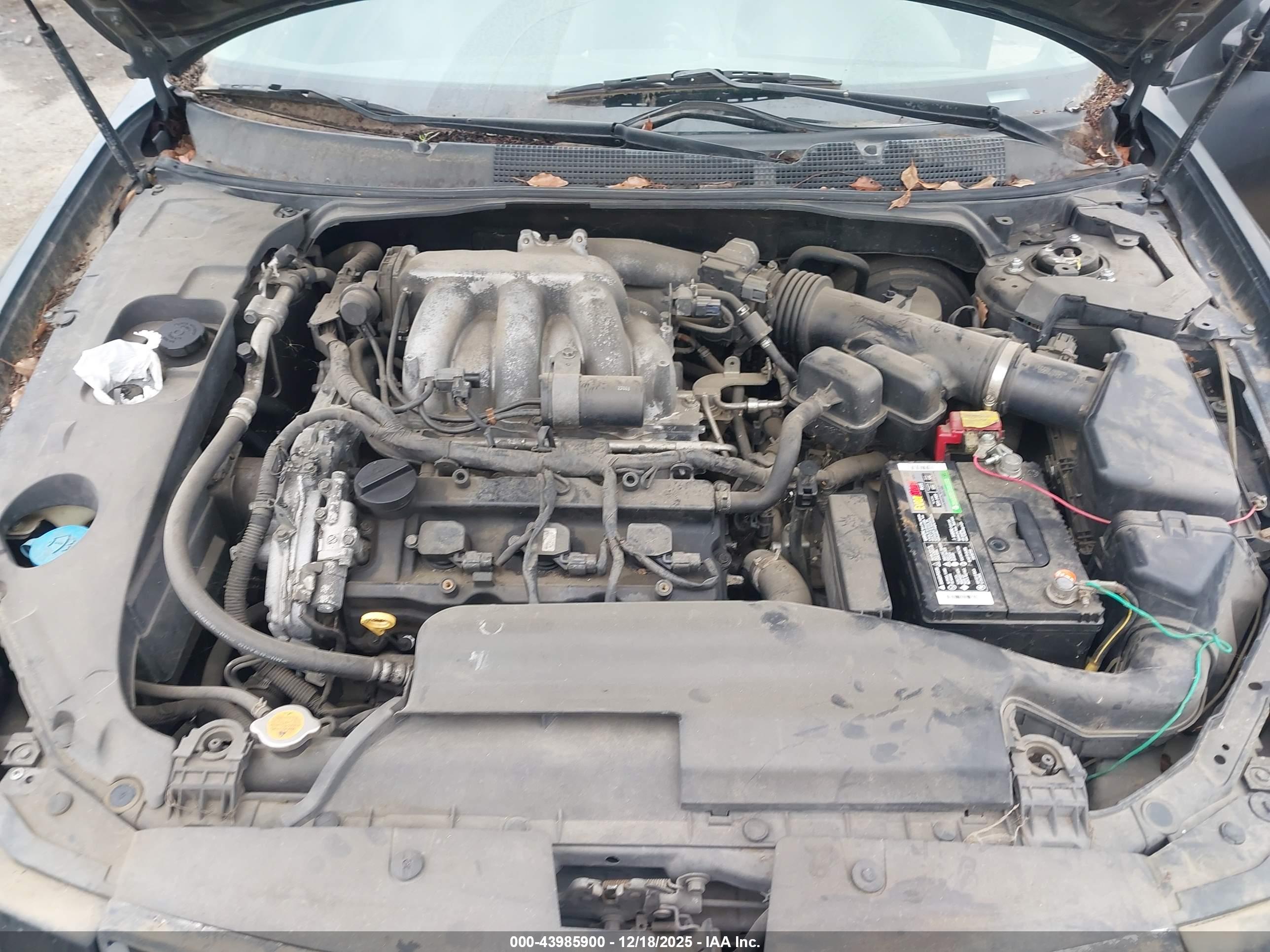 NISSAN MAXIMA image 10