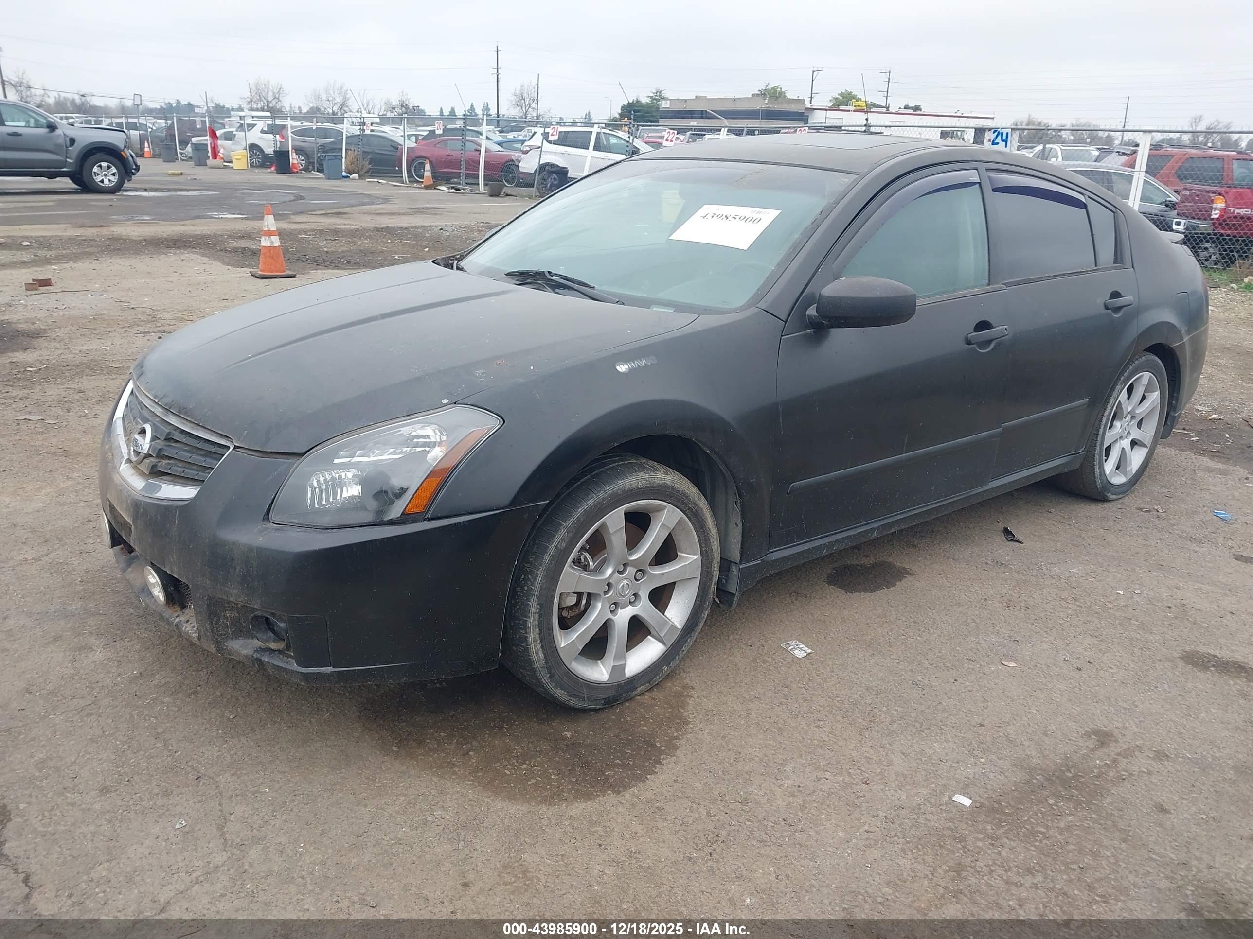 NISSAN MAXIMA image 2
