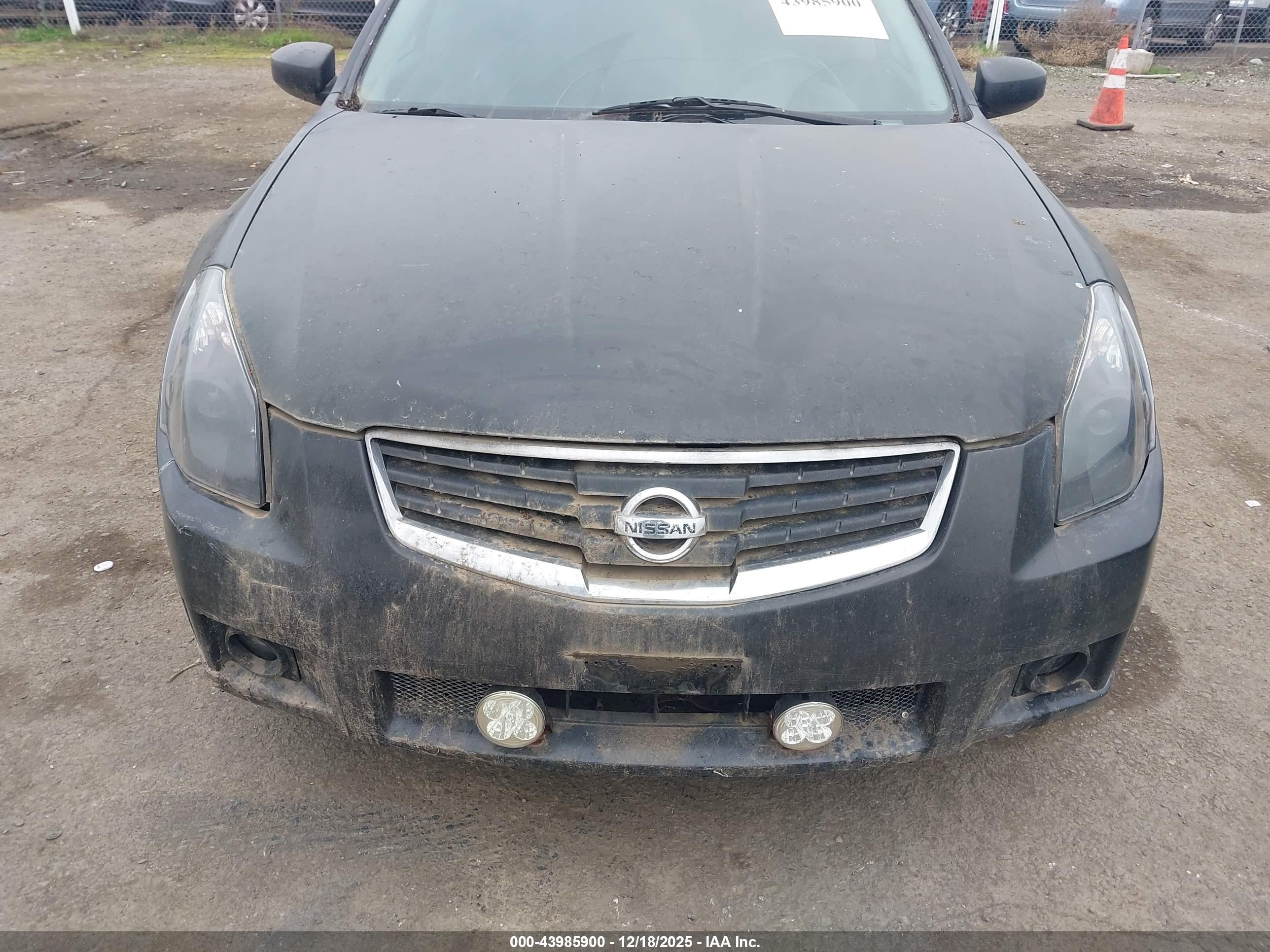 NISSAN MAXIMA image 6
