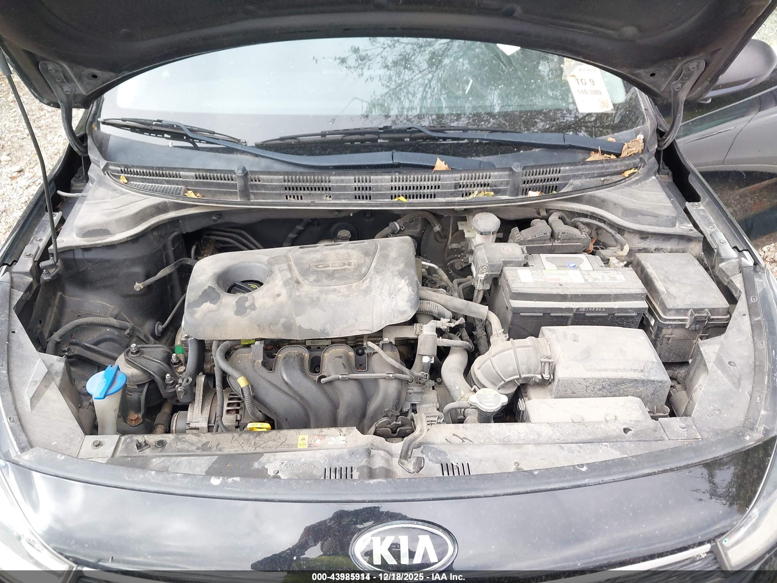 KIA RIO image 10