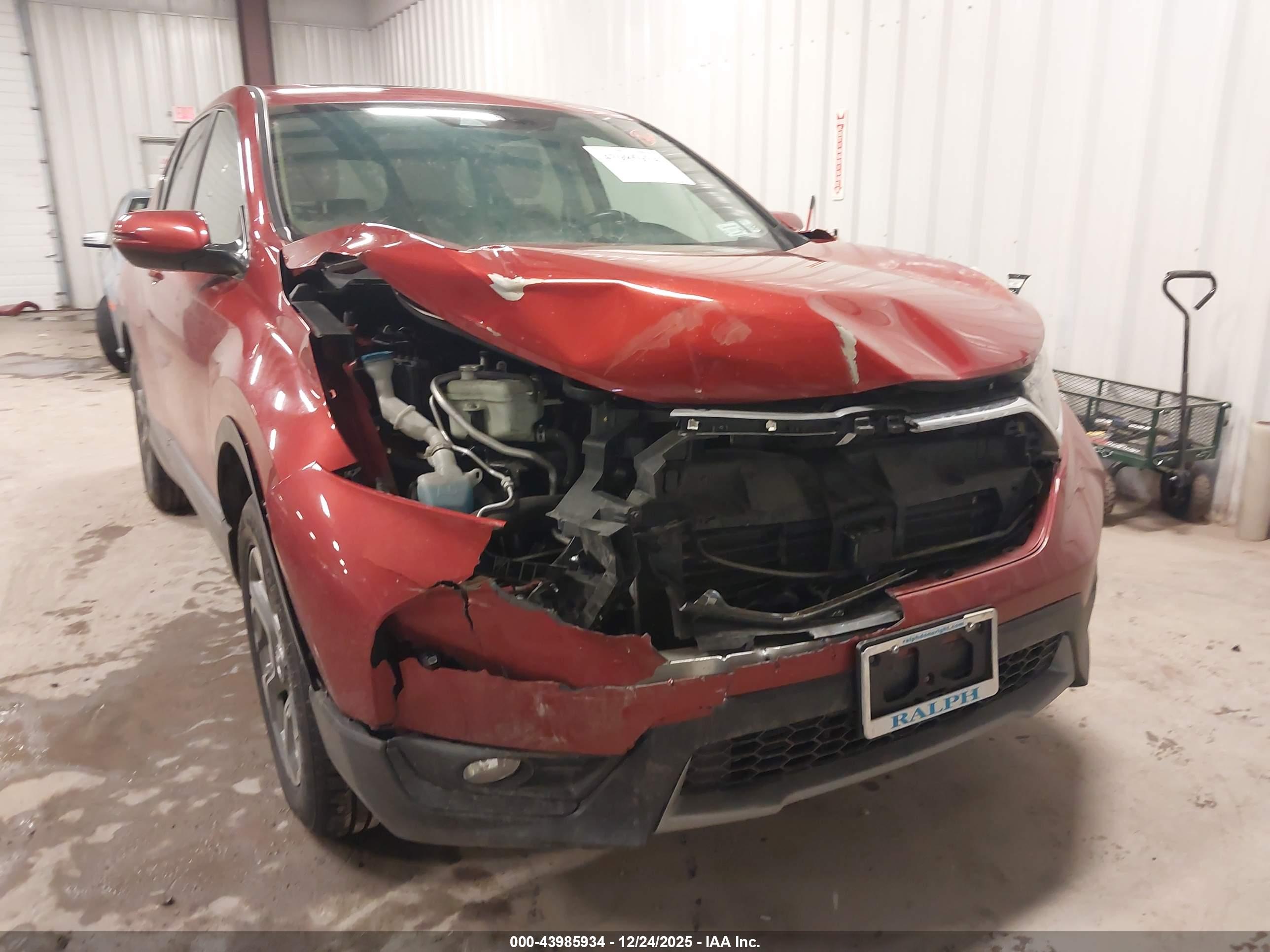 HONDA CR-V image 6