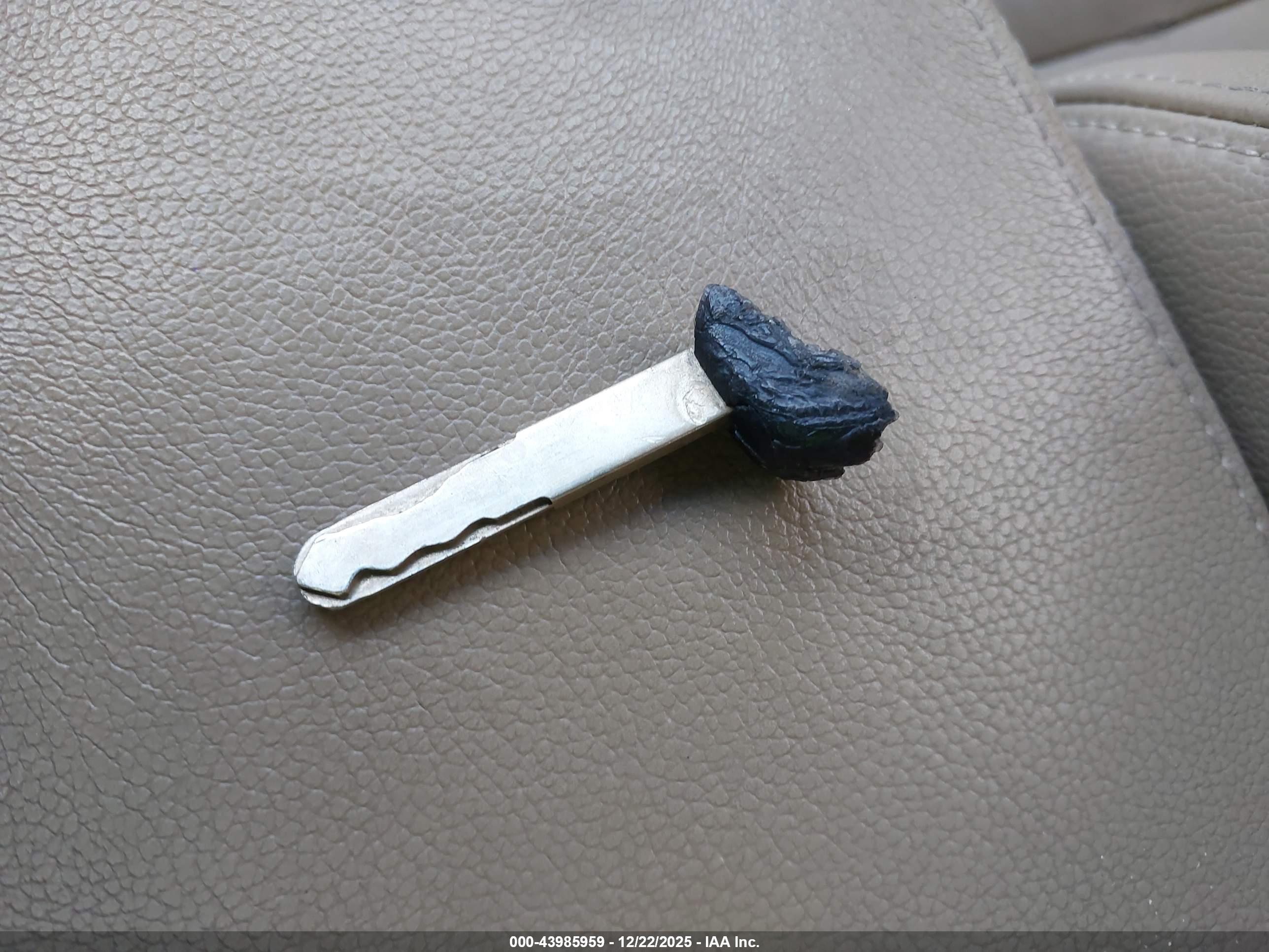 HONDA ACCORD image 11