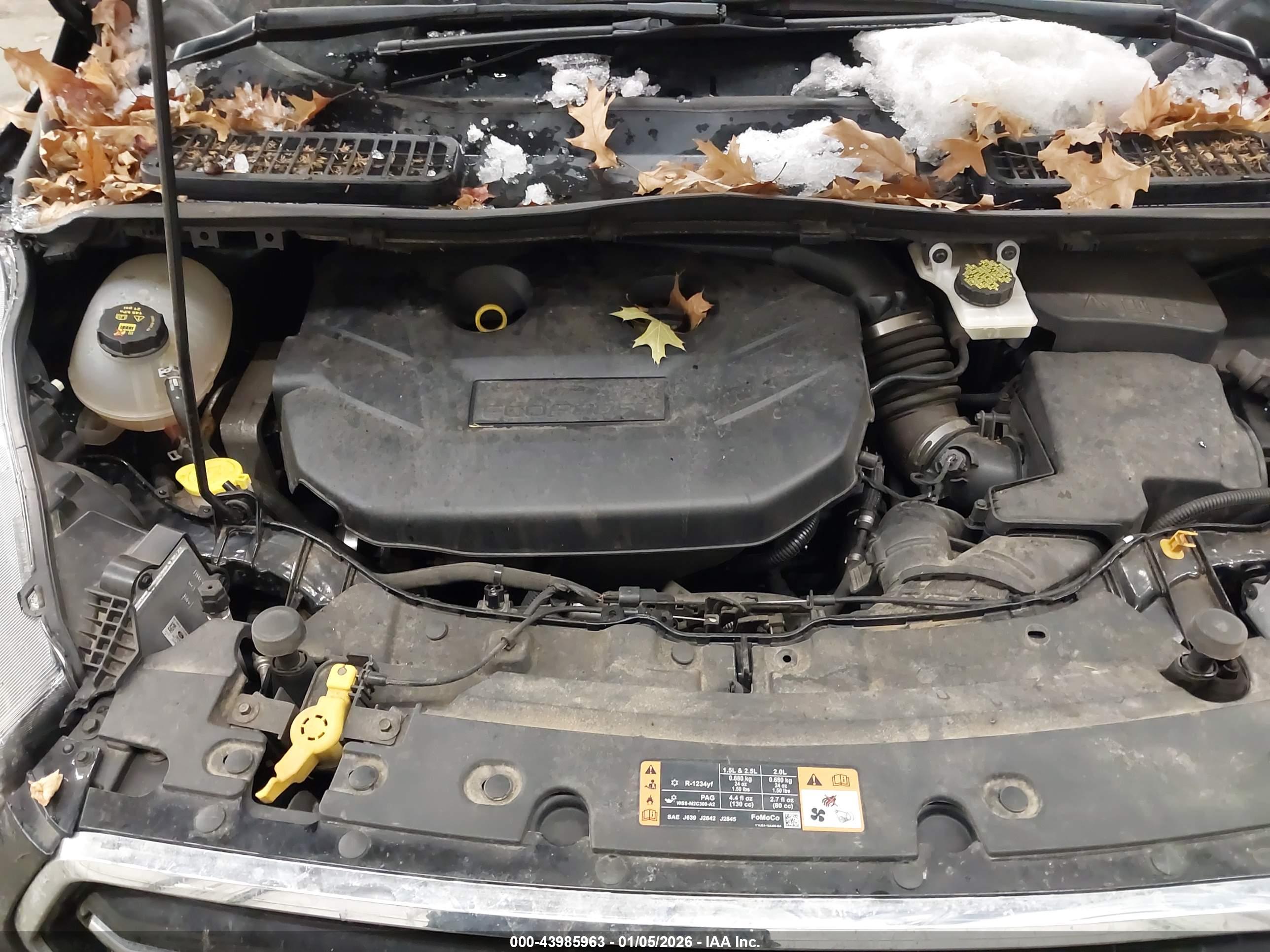 FORD ESCAPE image 10