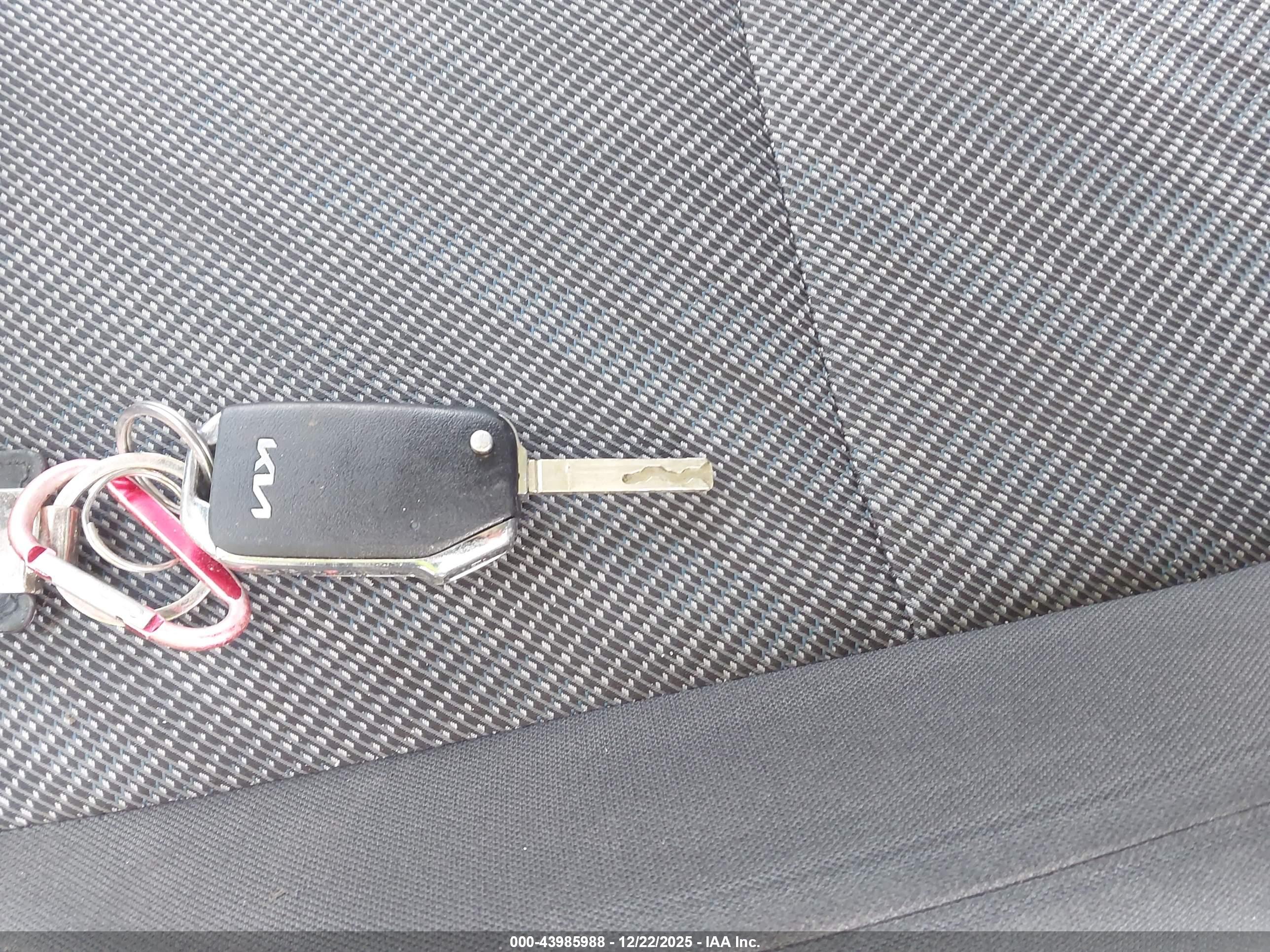KIA SELTOS image 11