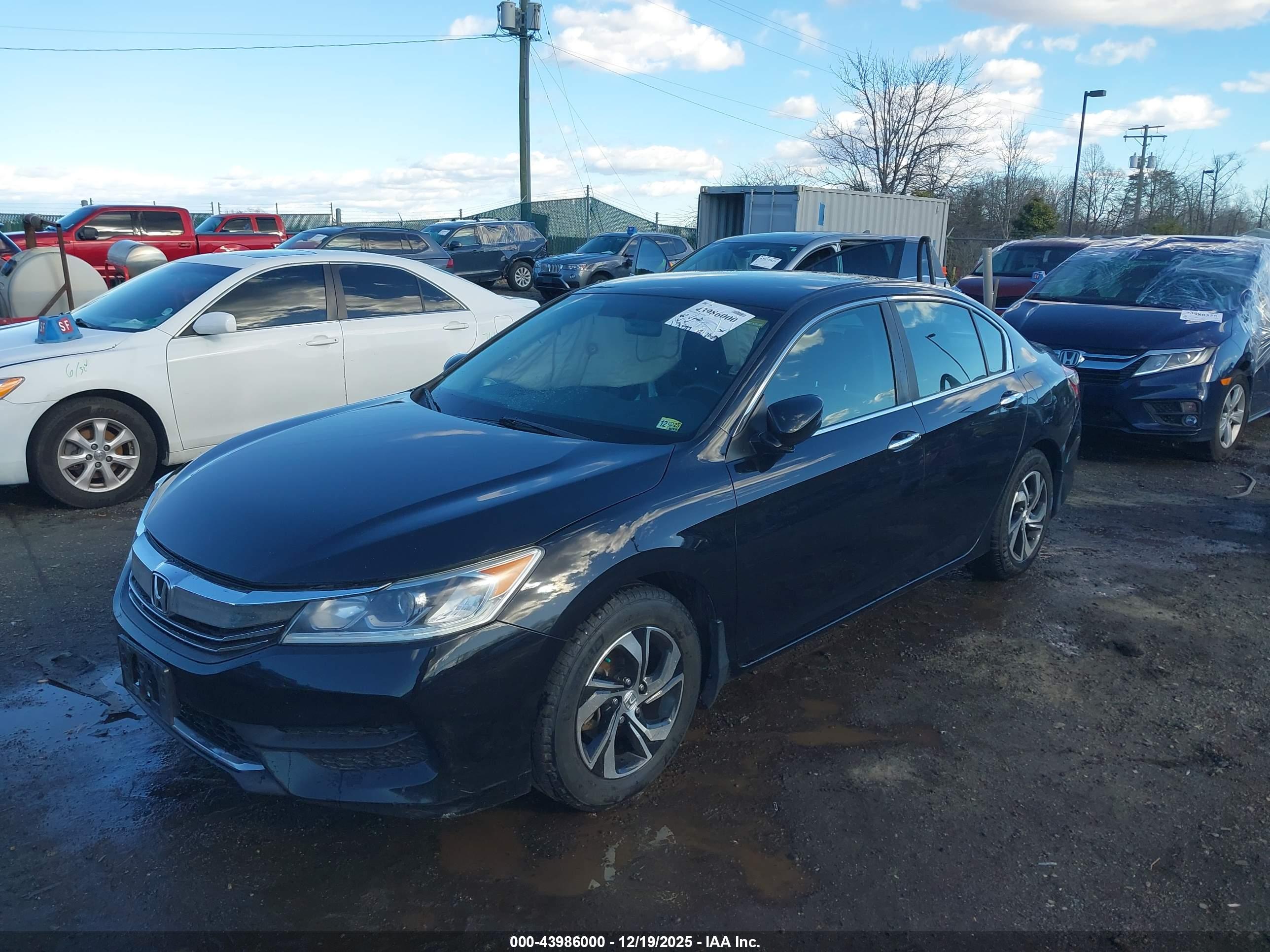 HONDA ACCORD image 2