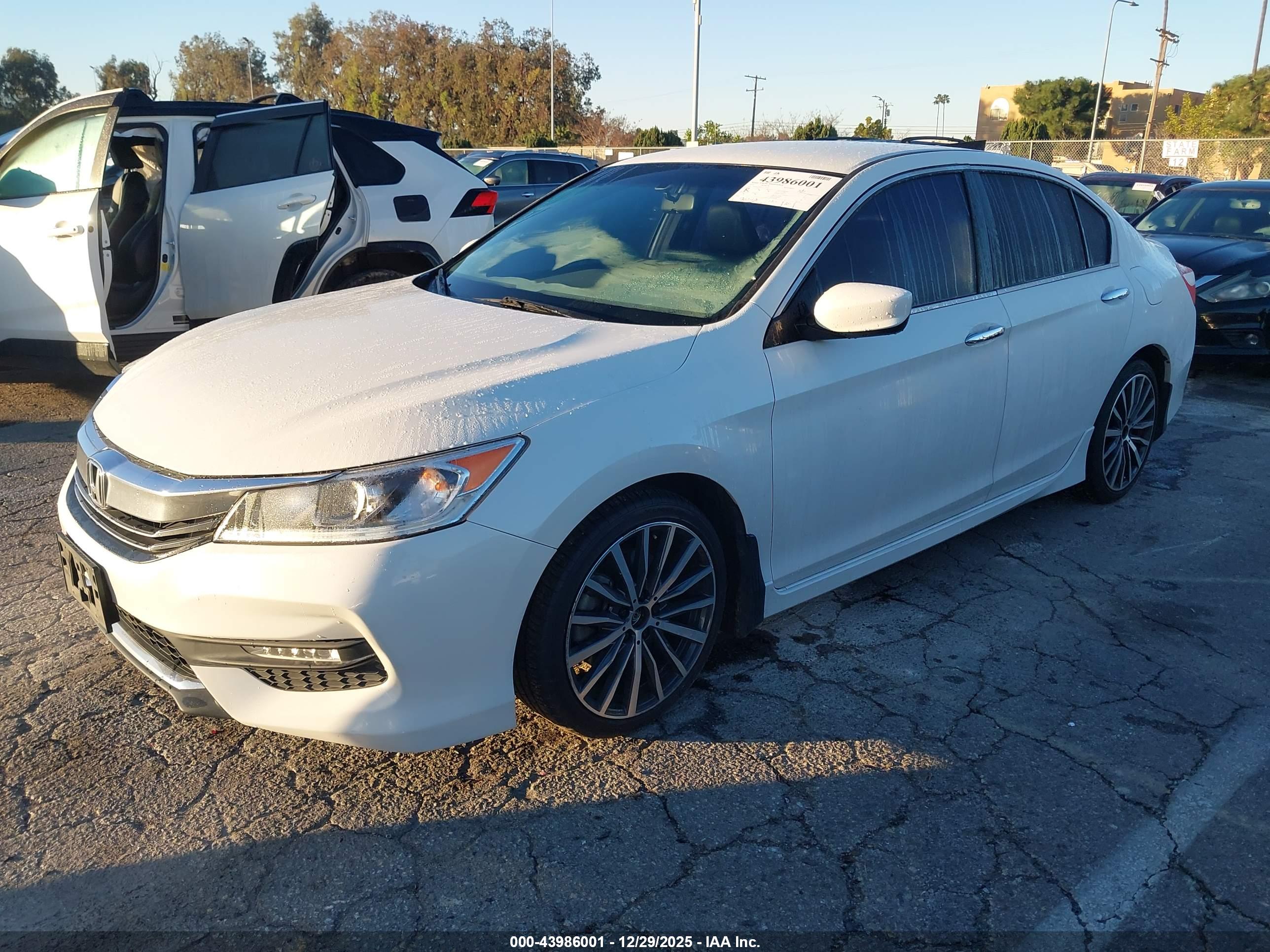 HONDA ACCORD image 6