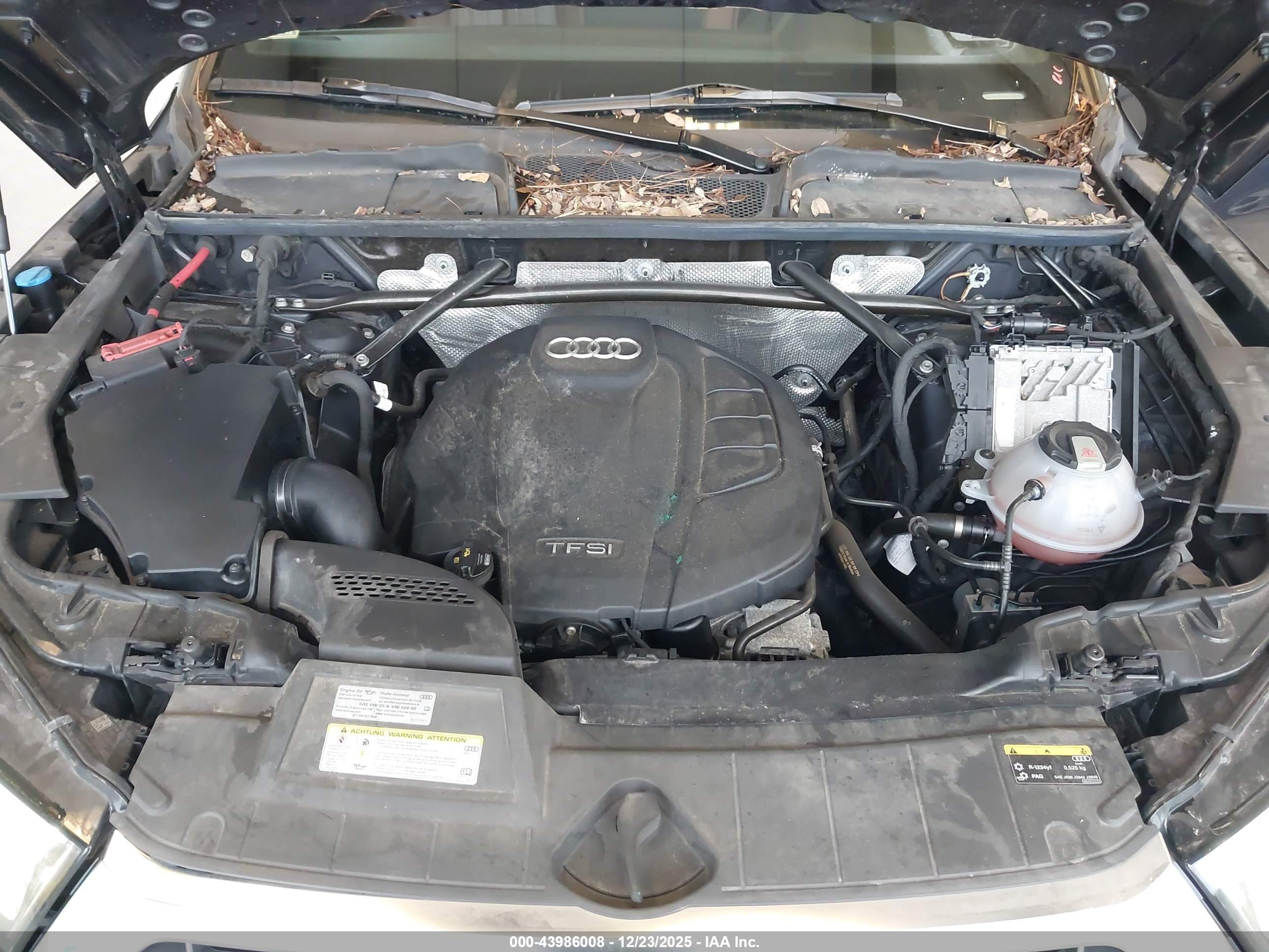 AUDI Q5 image 10