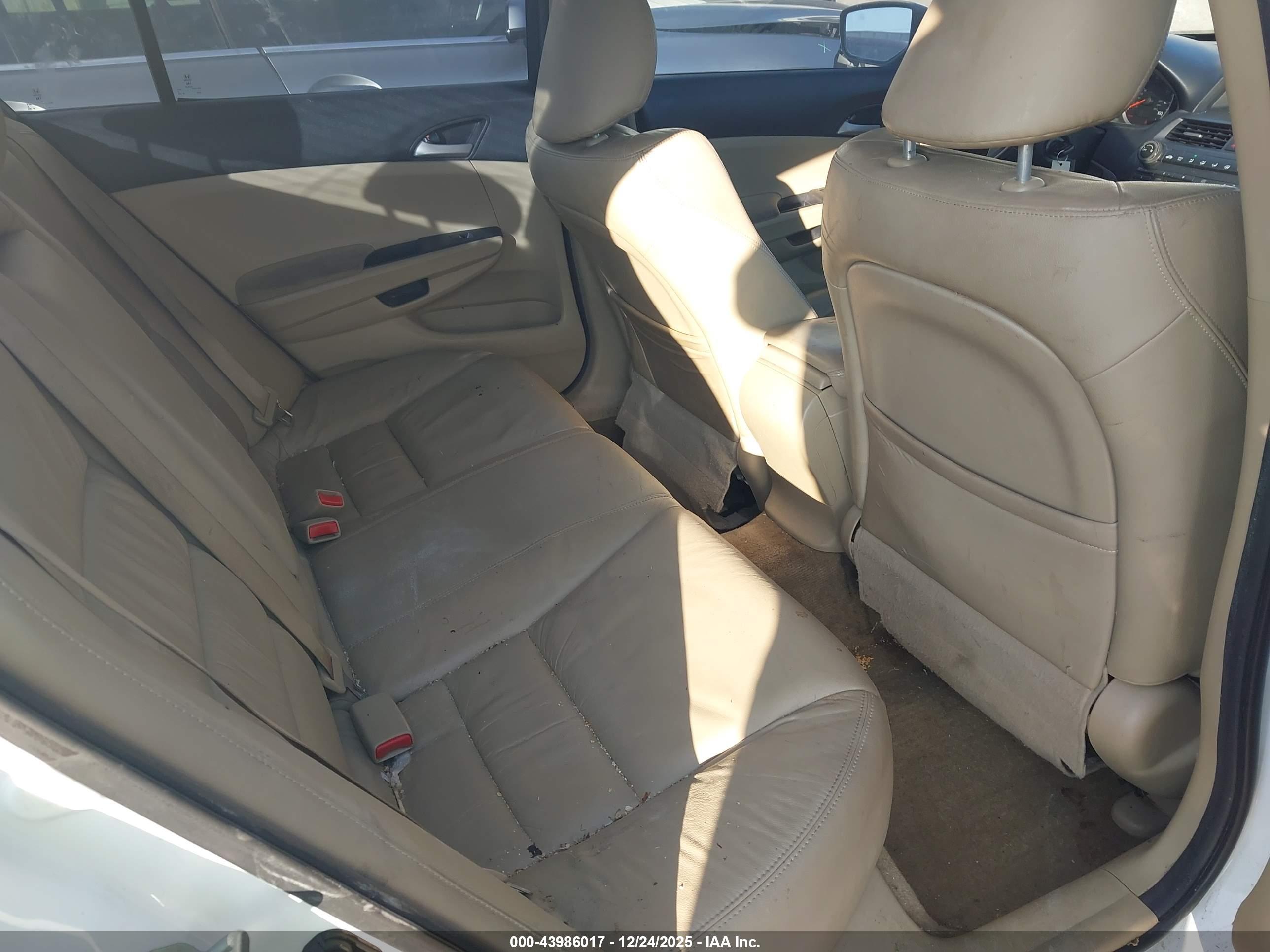 HONDA ACCORD image 8