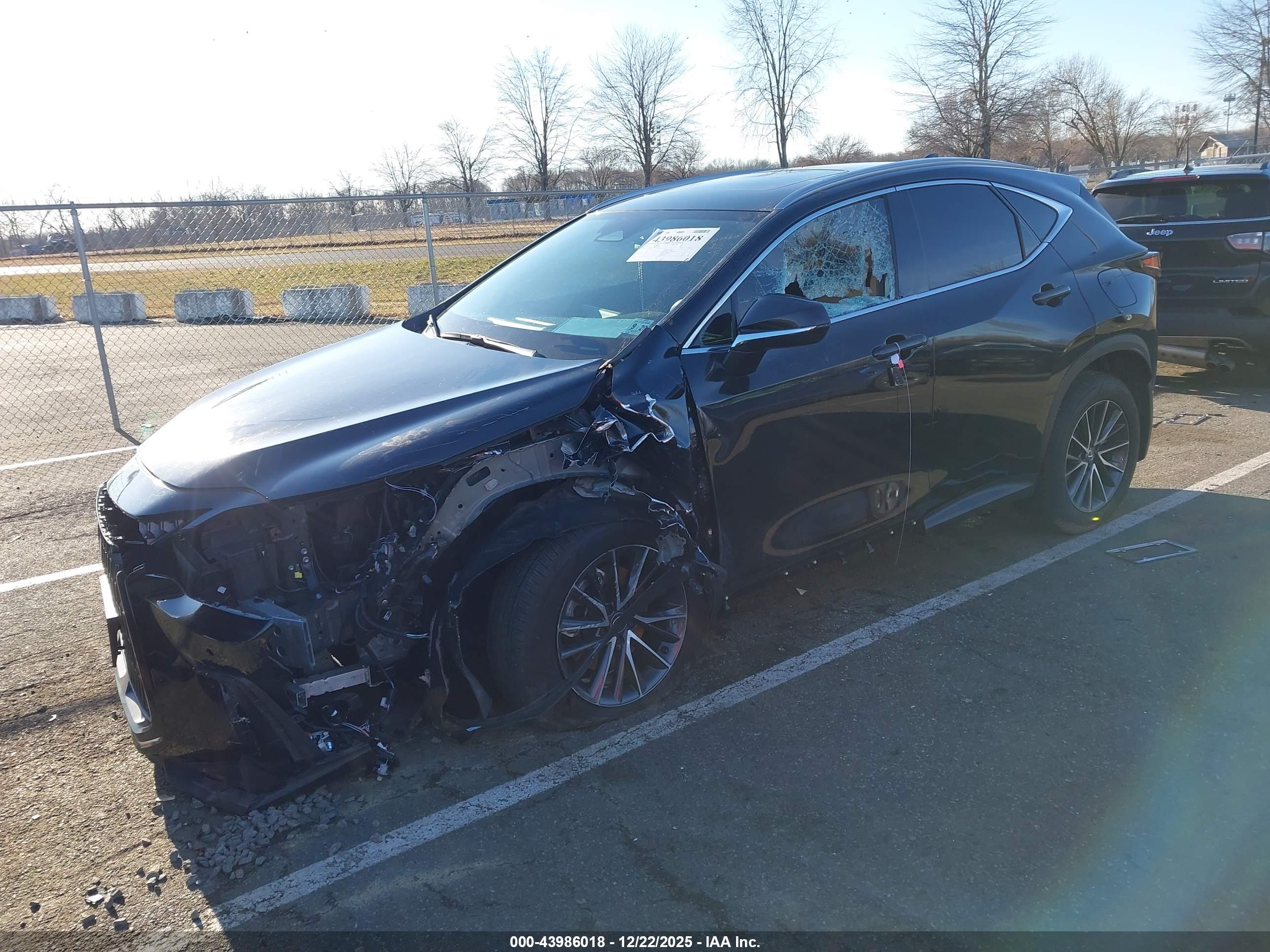 LEXUS NX image 2