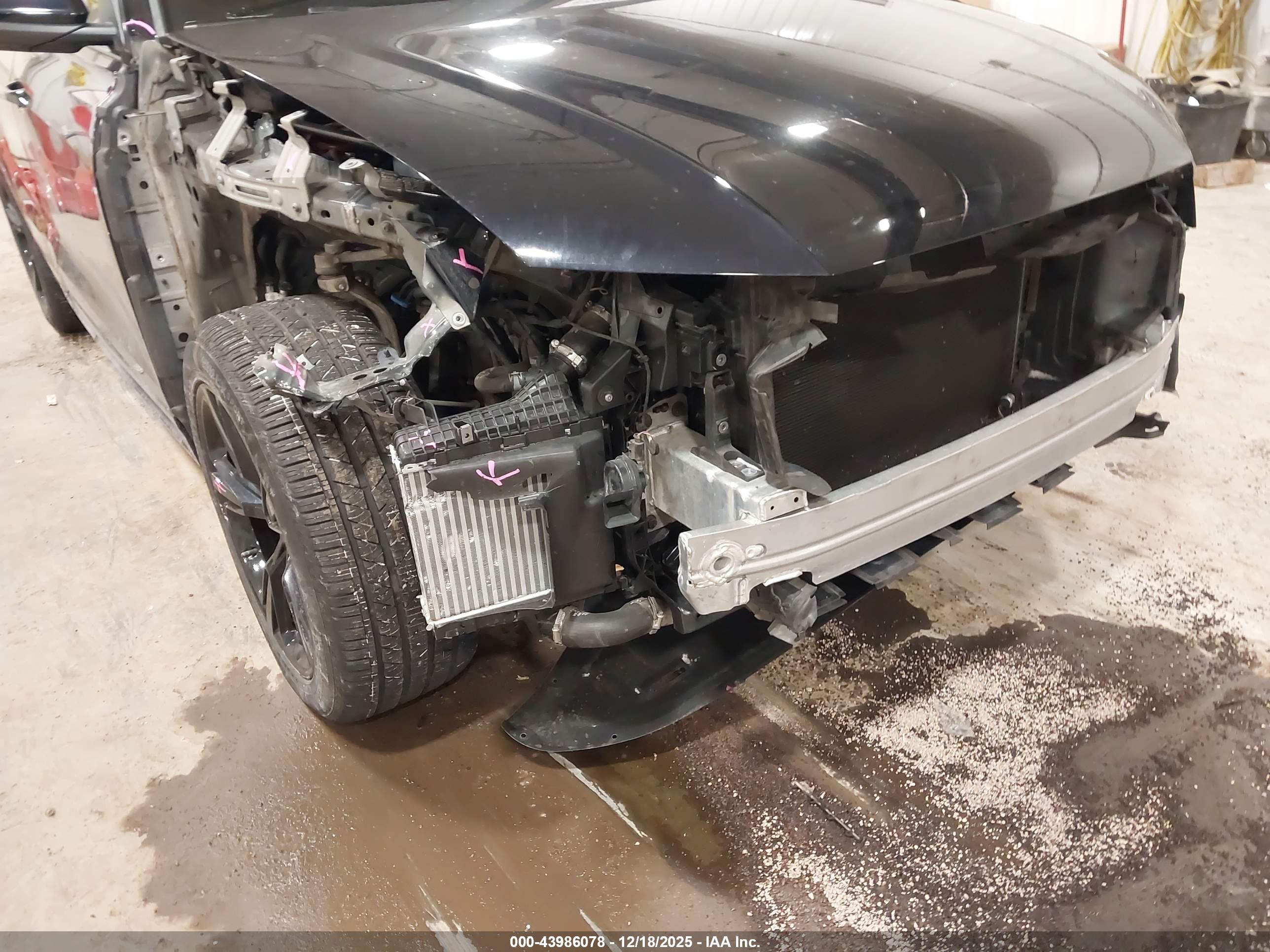 AUDI Q8 image 6