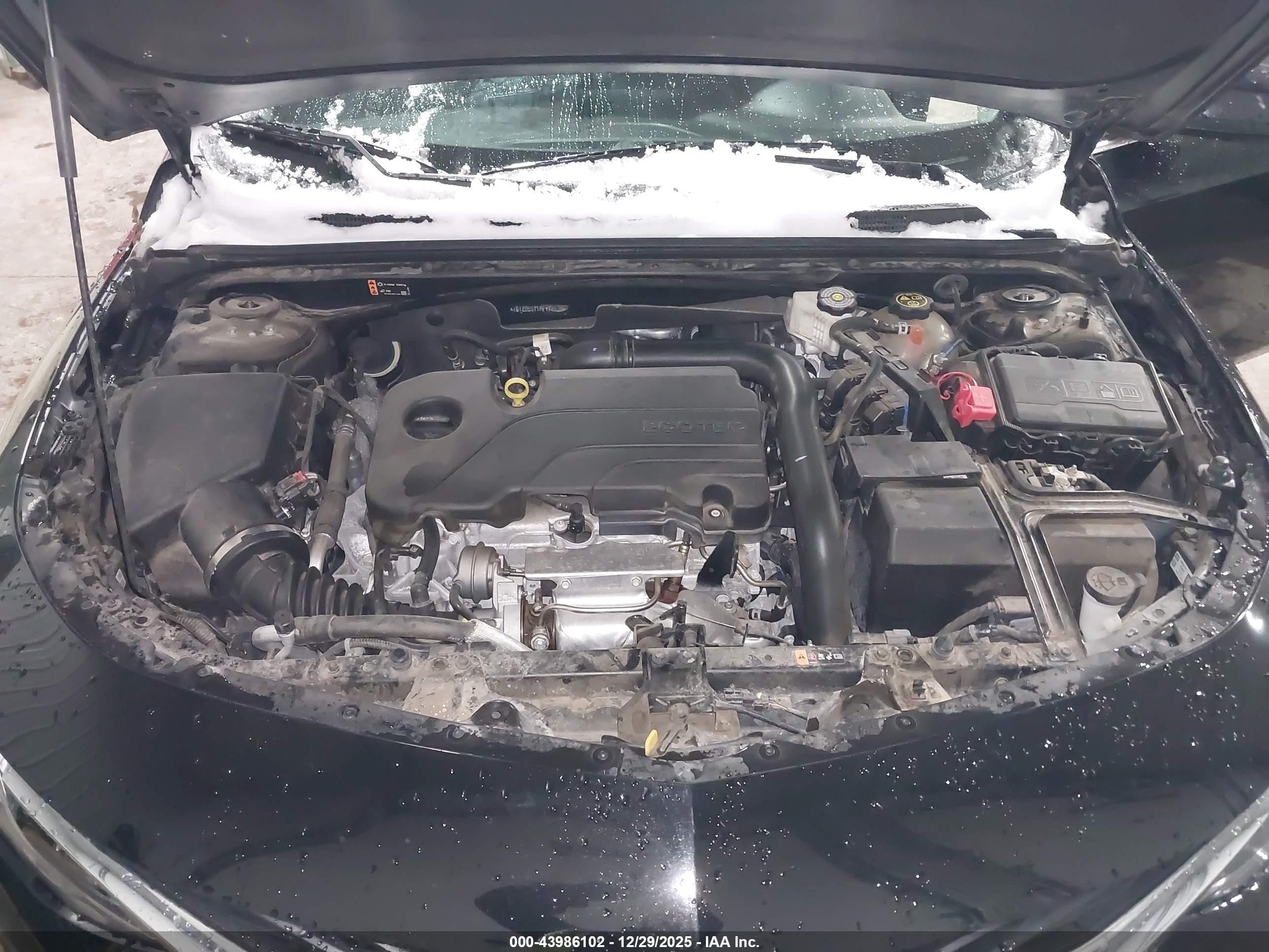 CHEVROLET MALIBU image 10