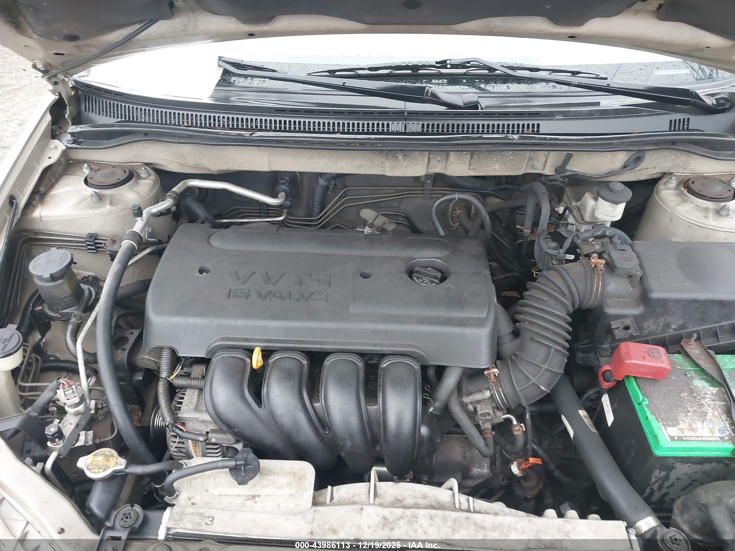 TOYOTA COROLLA image 10