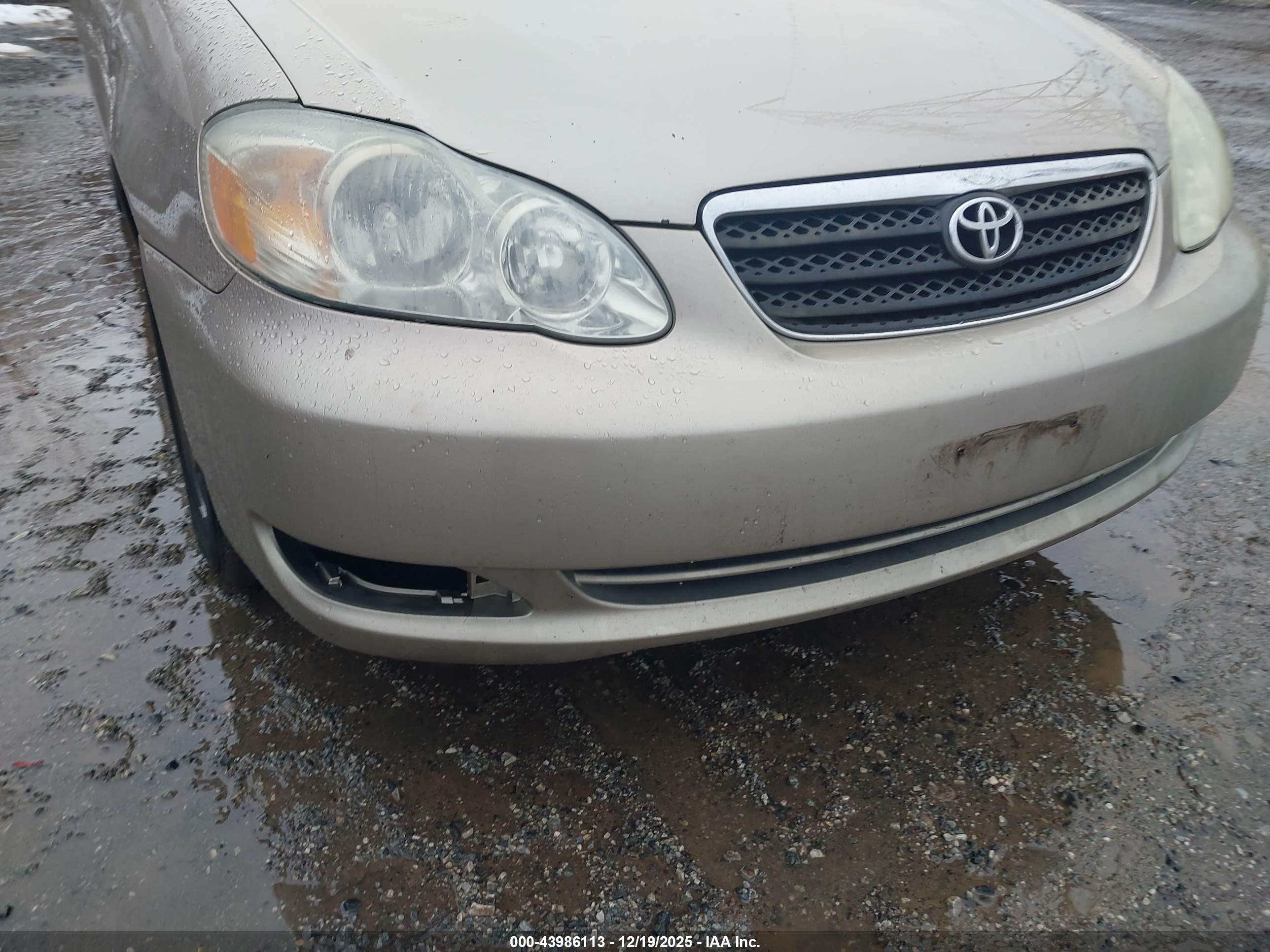 TOYOTA COROLLA image 6