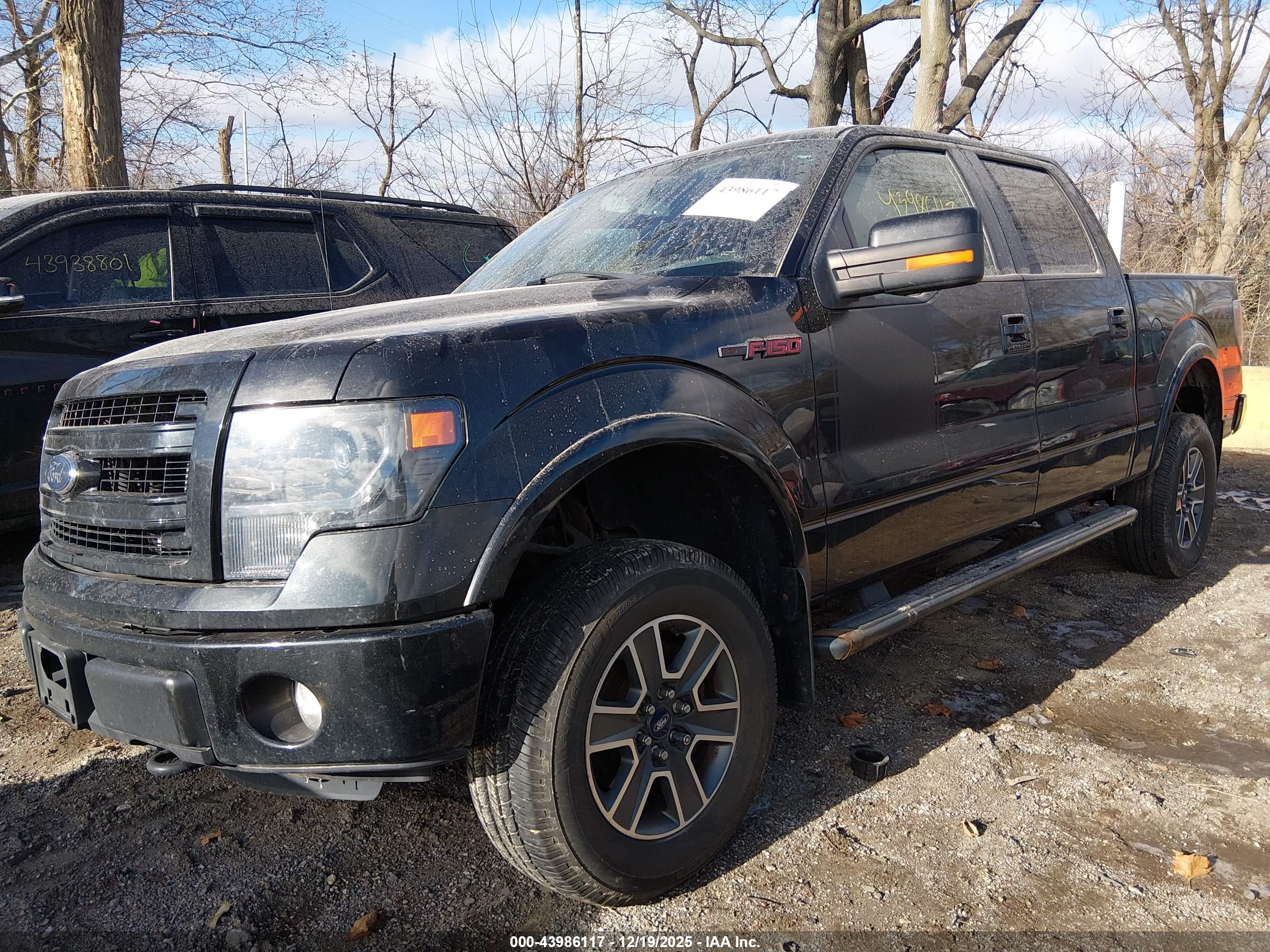 FORD F-150 image 2