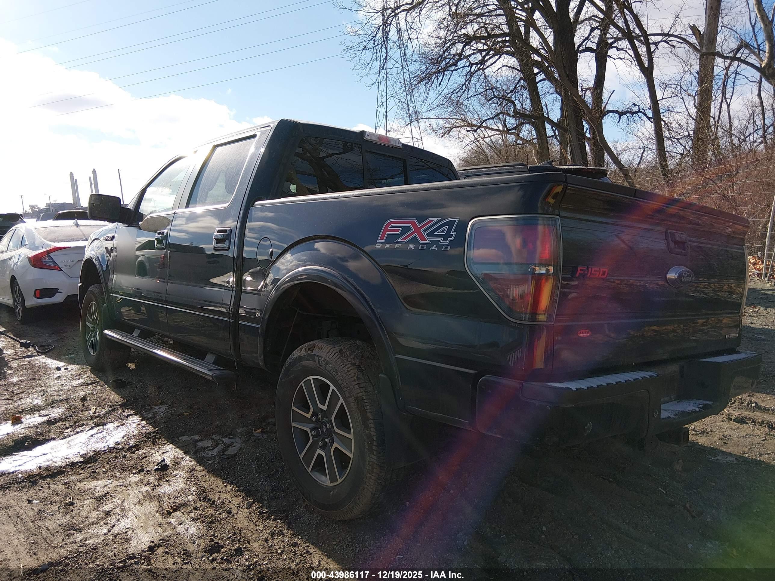 FORD F-150 image 3