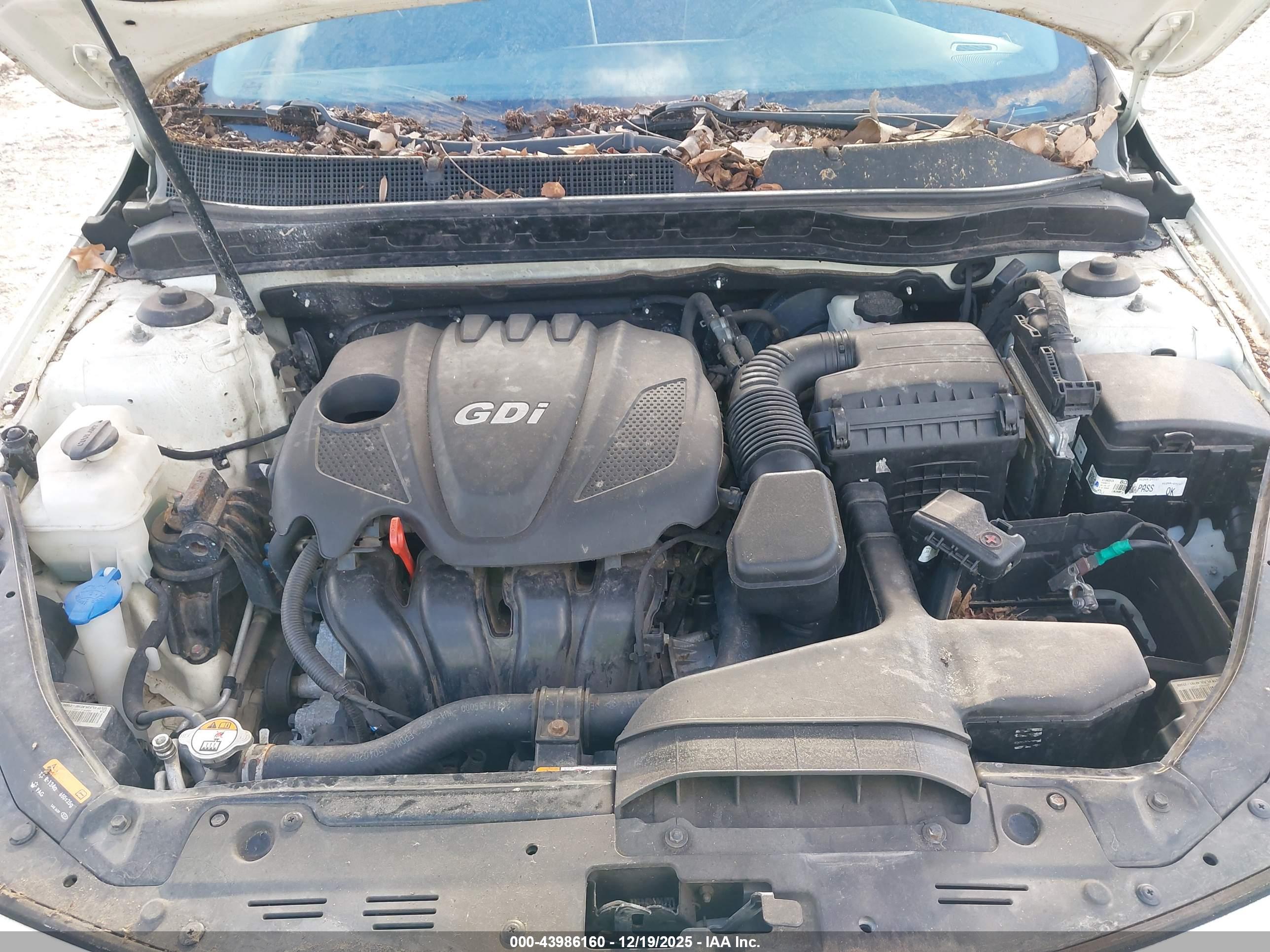 KIA OPTIMA image 10