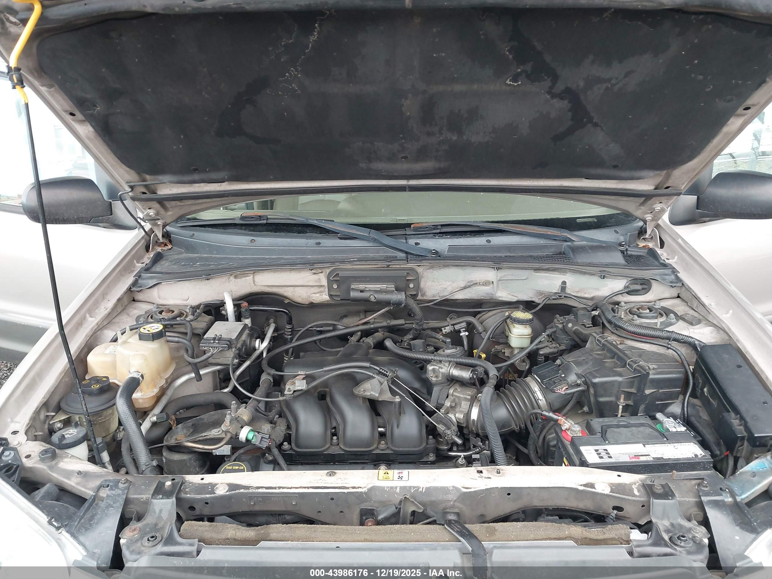 MAZDA TRIBUTE image 10