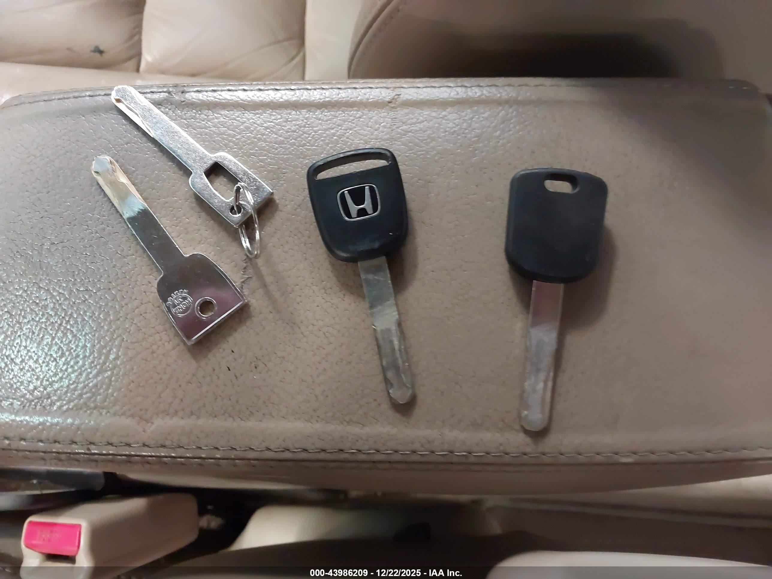 HONDA ACCORD image 11
