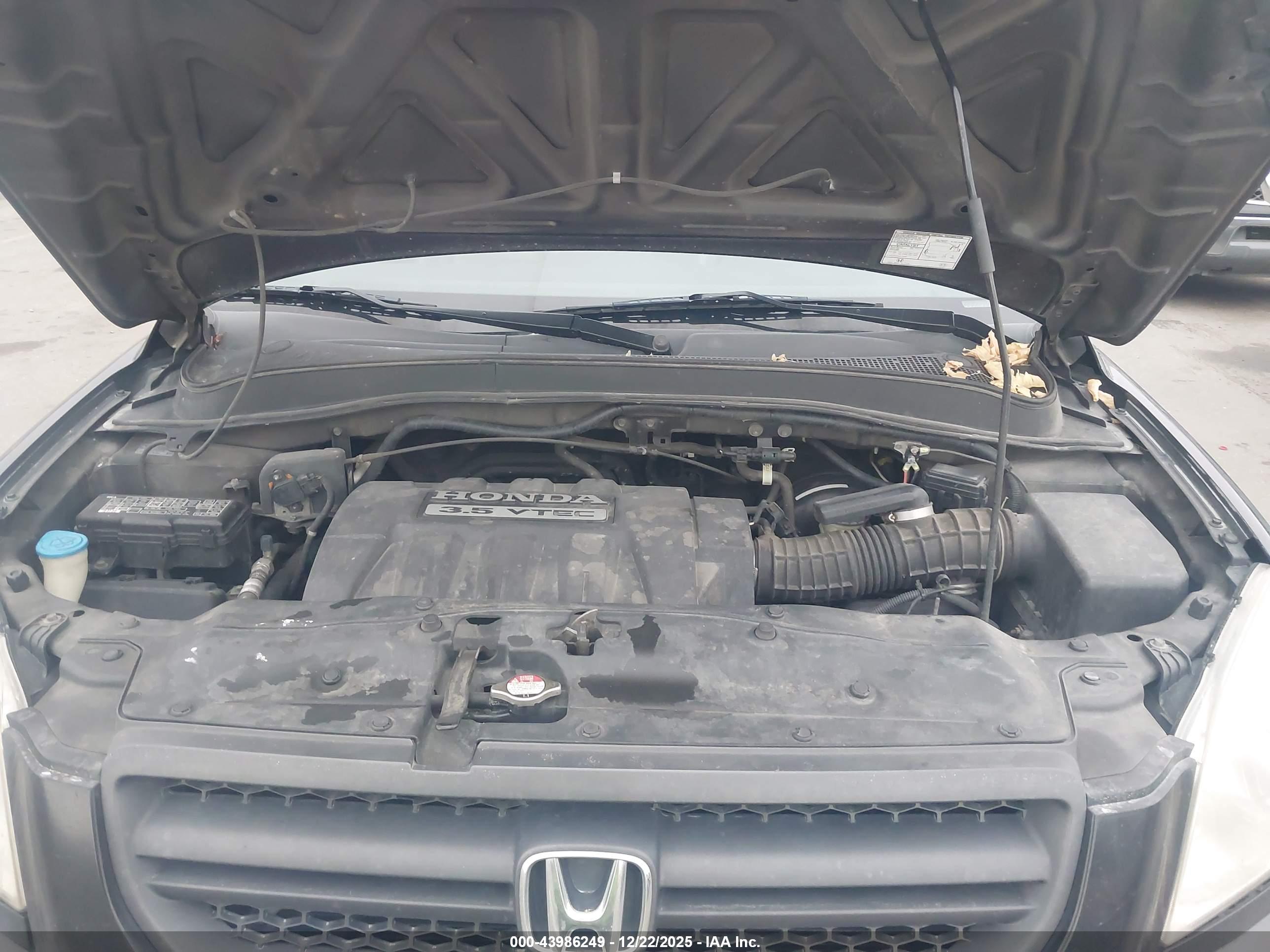 HONDA PILOT image 10