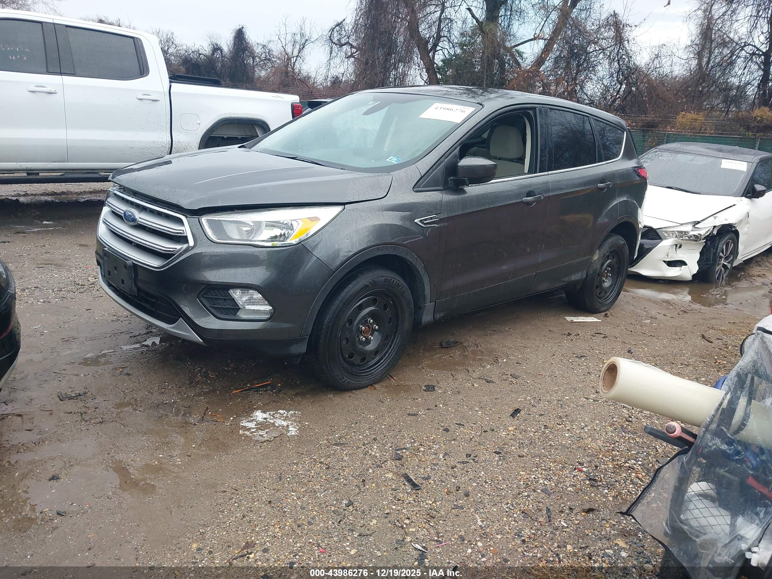 FORD ESCAPE image 2