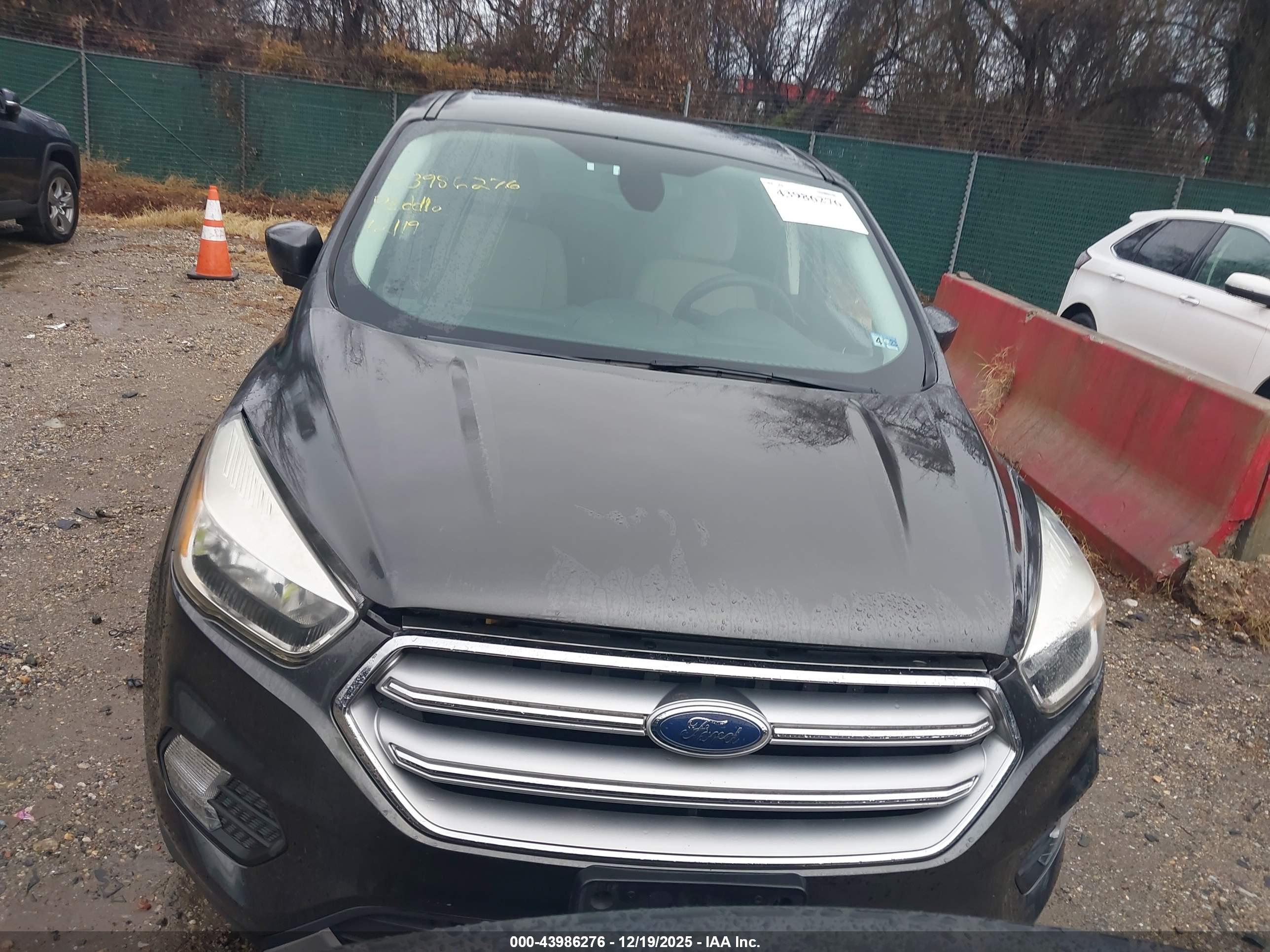 FORD ESCAPE image 6