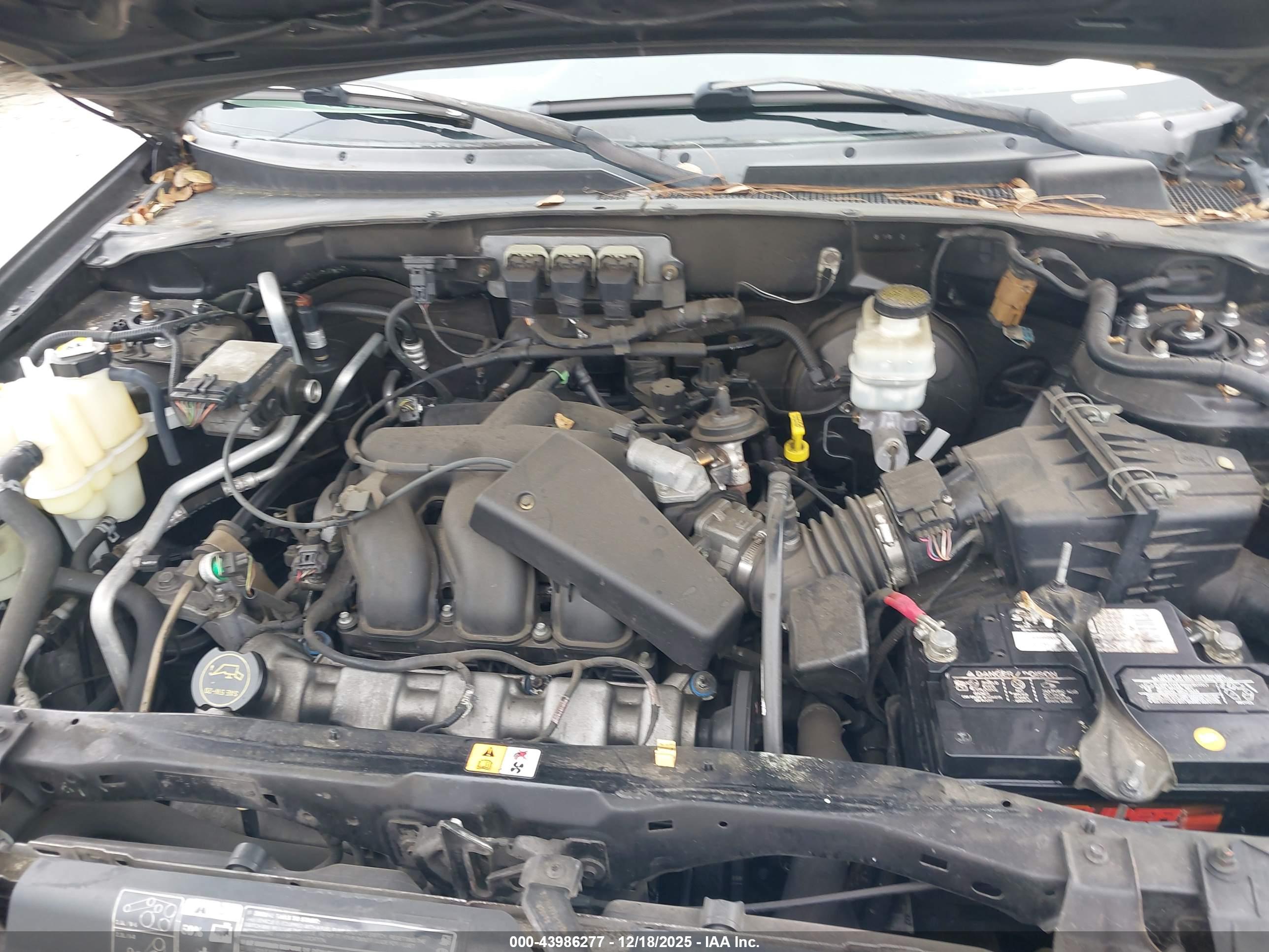 FORD ESCAPE image 10