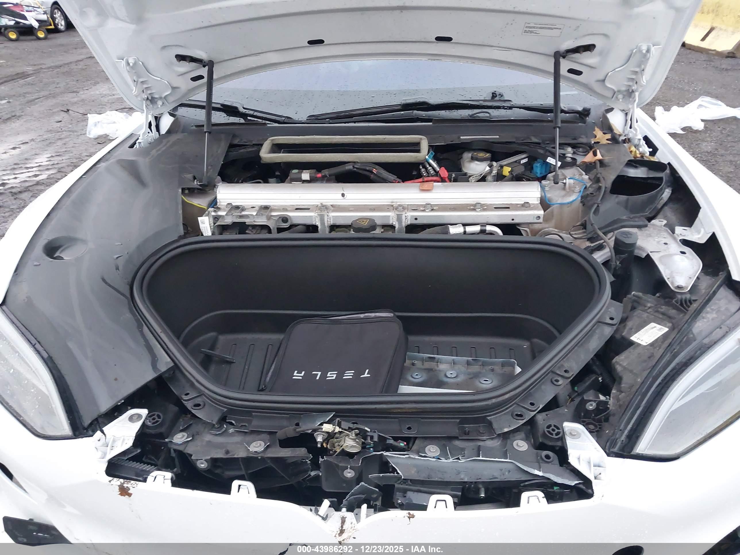 TESLA MODEL image 10