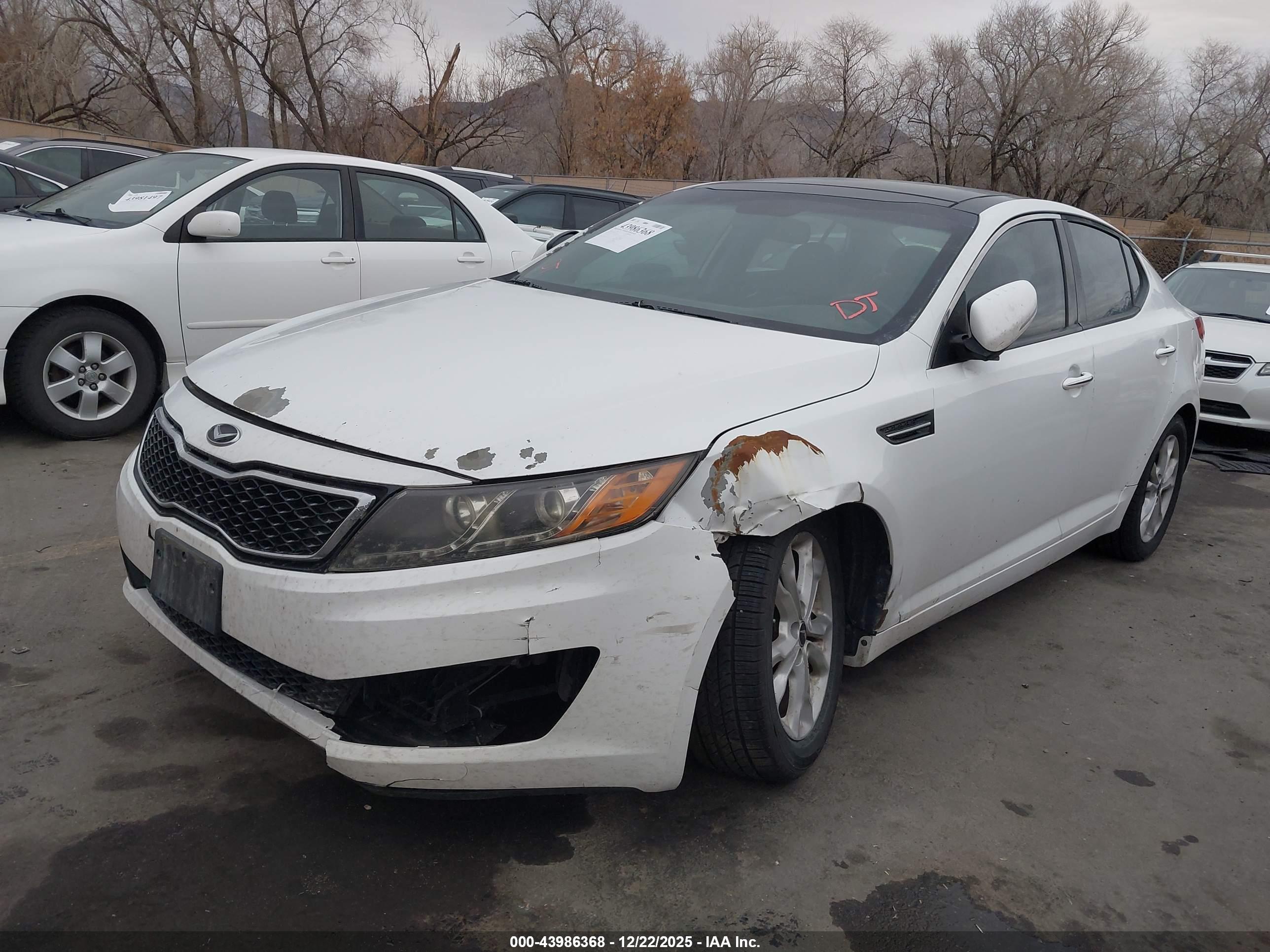 KIA OPTIMA image 2