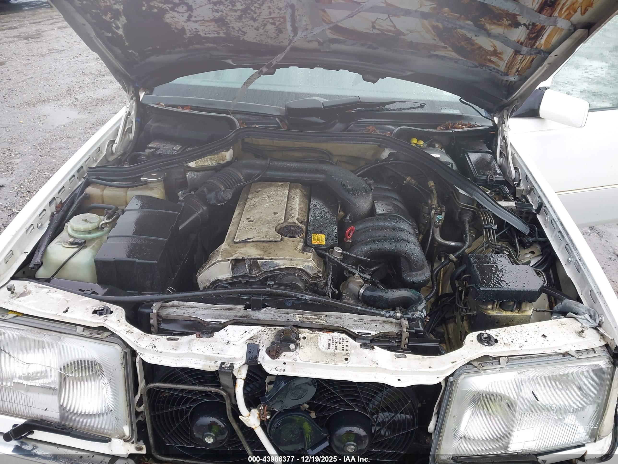 MERCEDES-BENZ E image 10