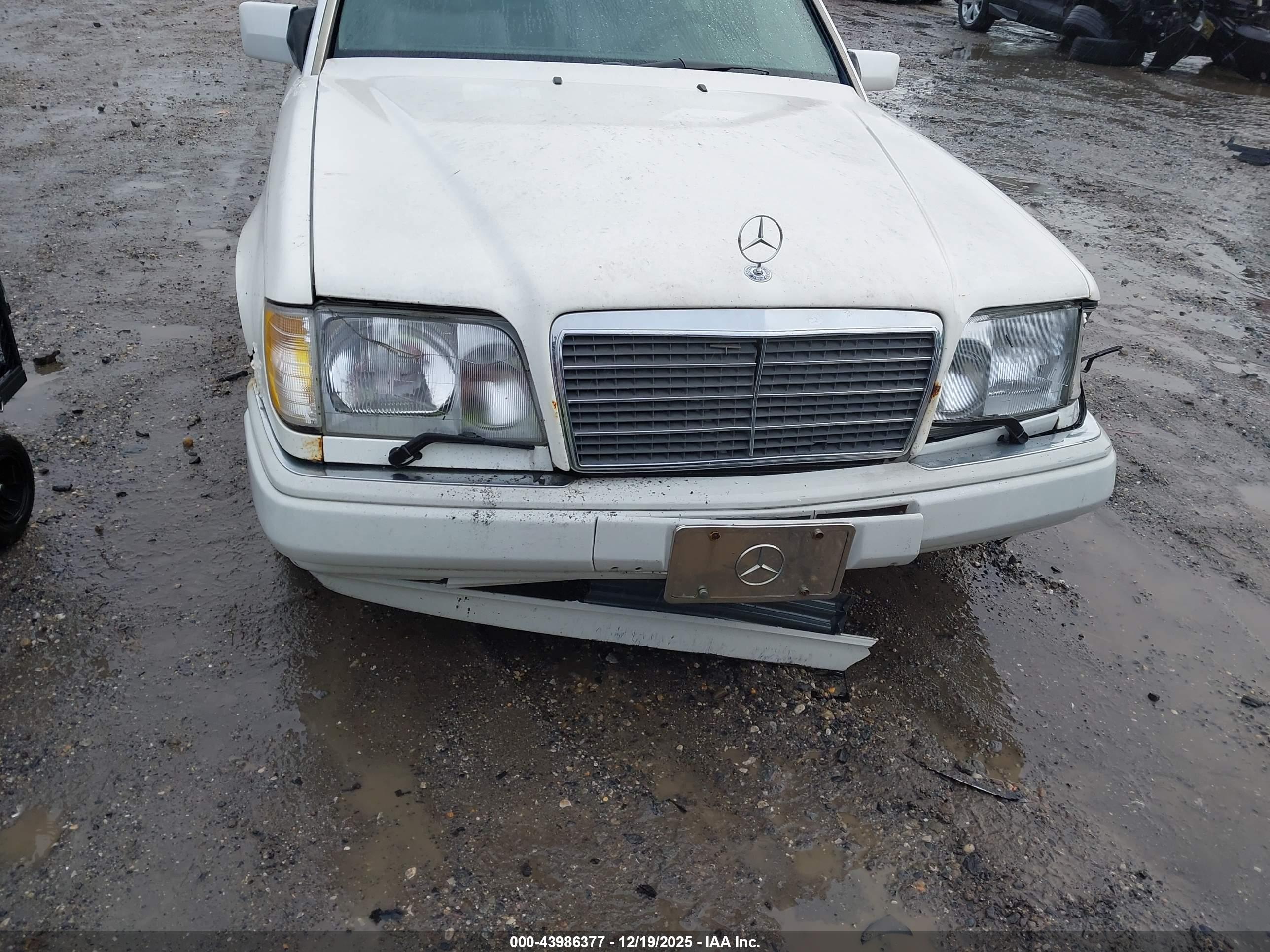 MERCEDES-BENZ E image 6