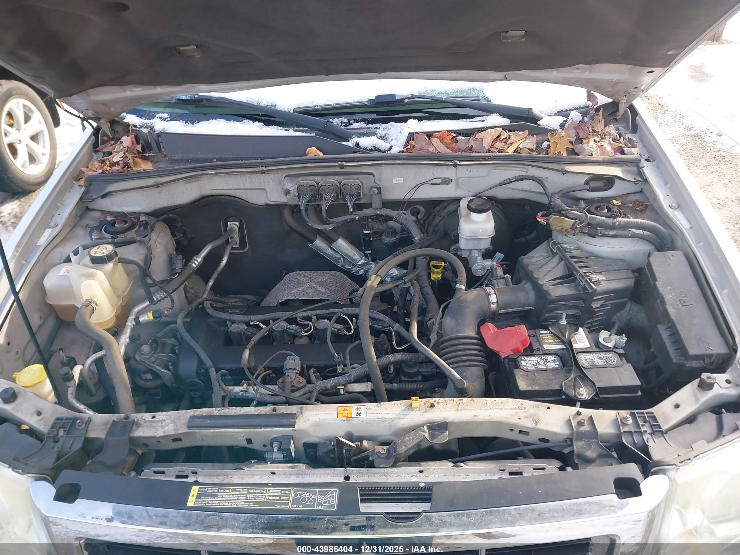 FORD ESCAPE image 10