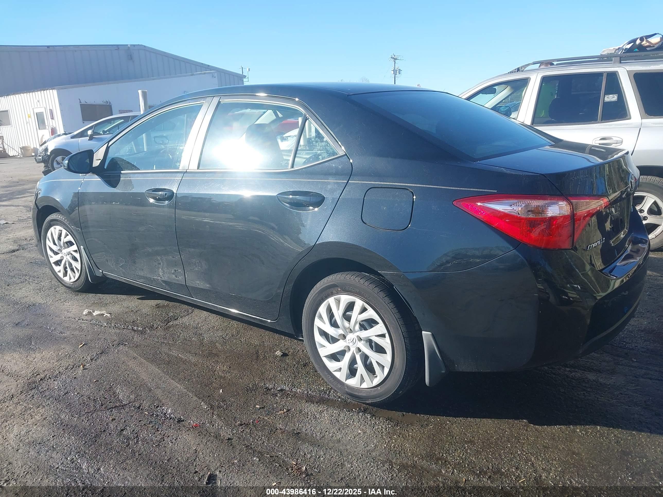 TOYOTA COROLLA image 3