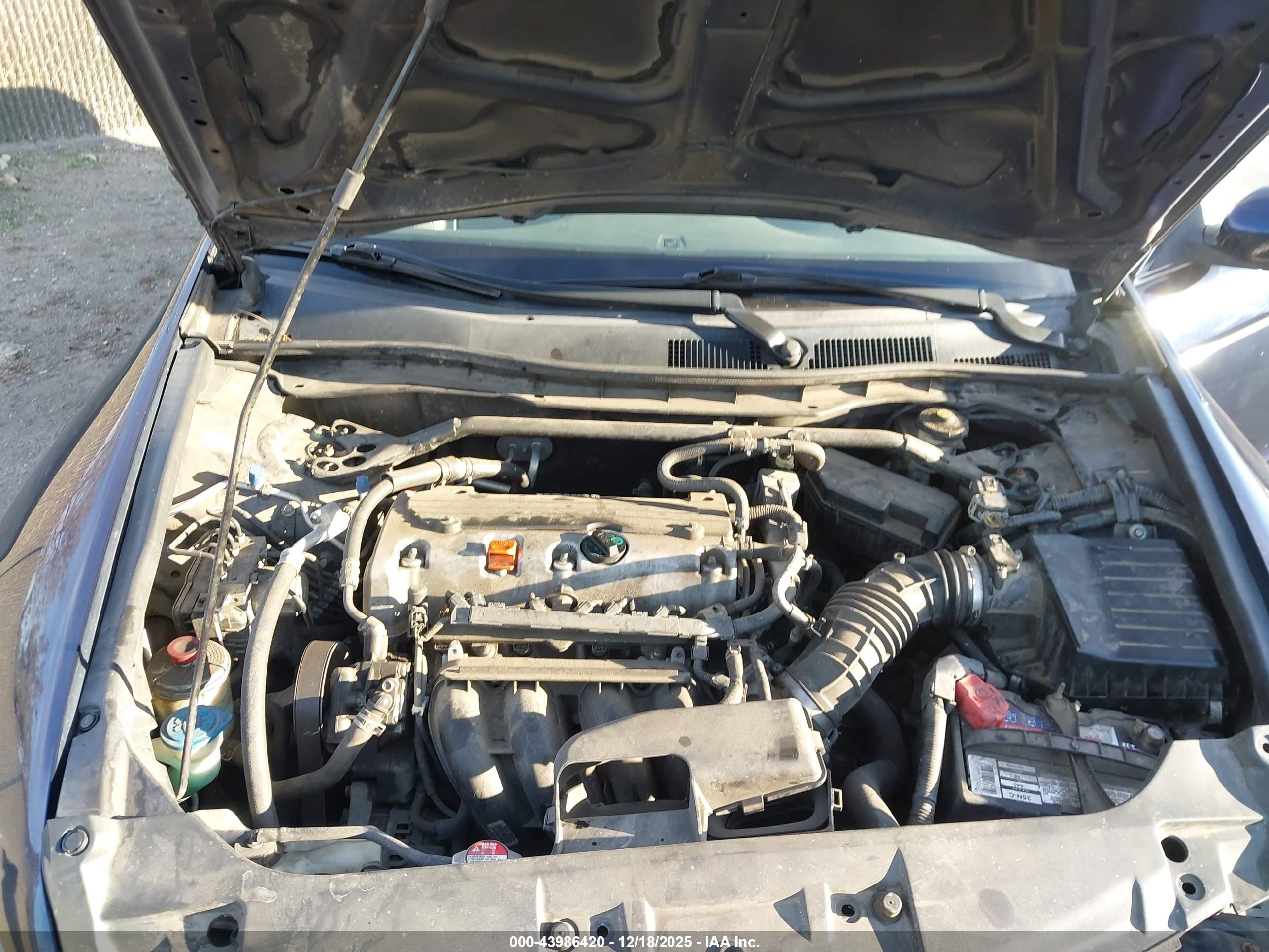 HONDA ACCORD image 10