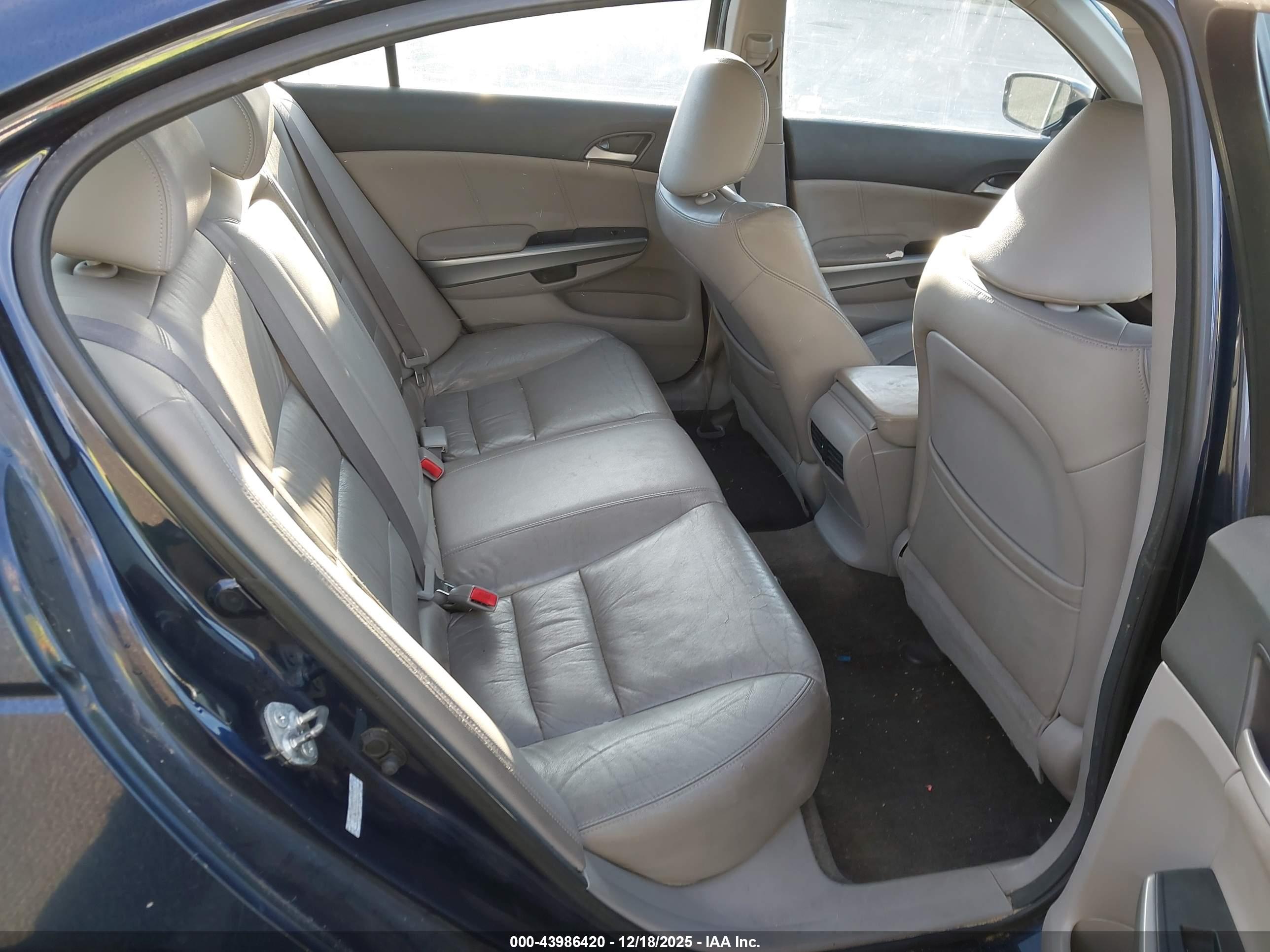 HONDA ACCORD image 8