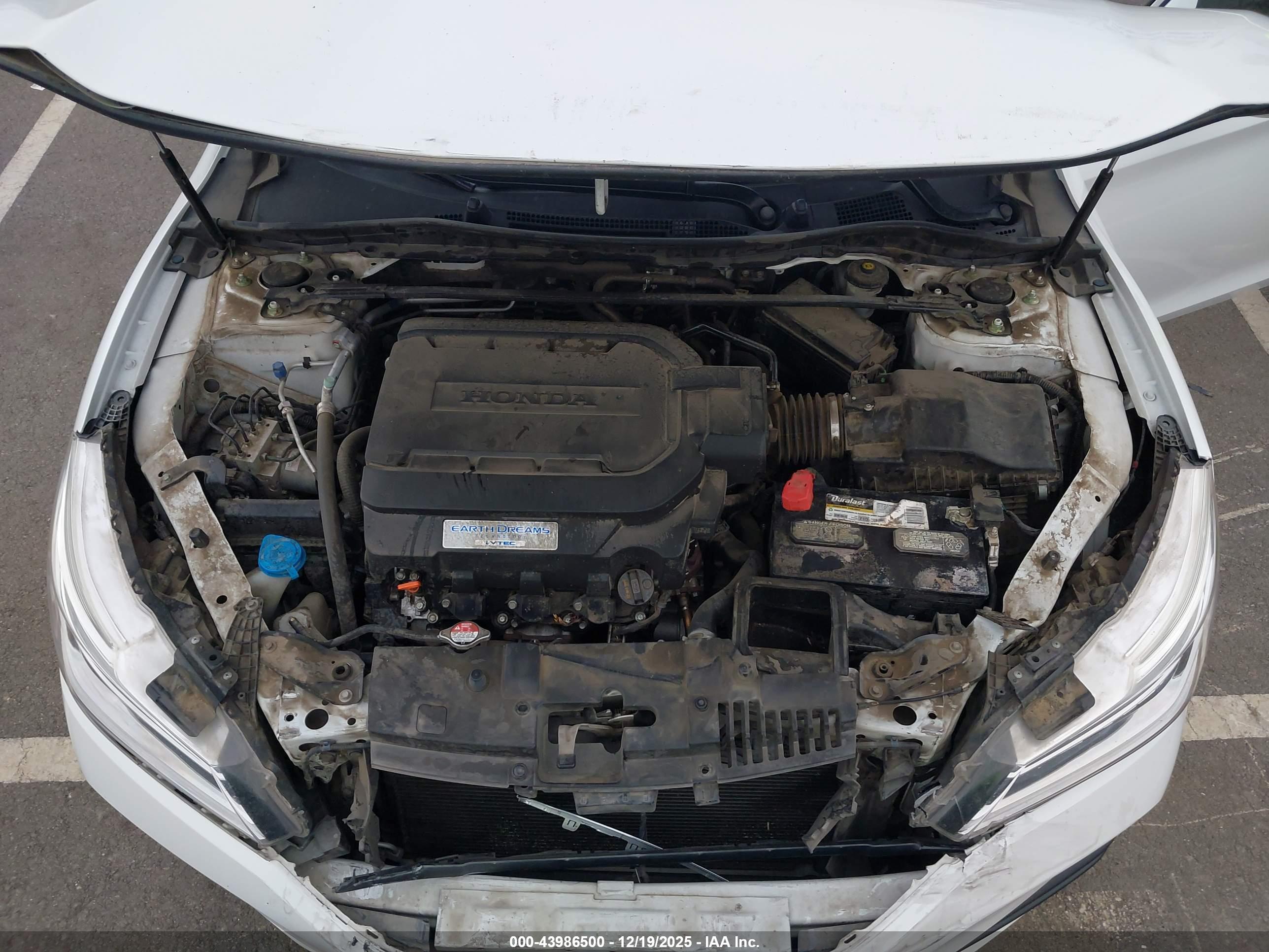 HONDA ACCORD image 10