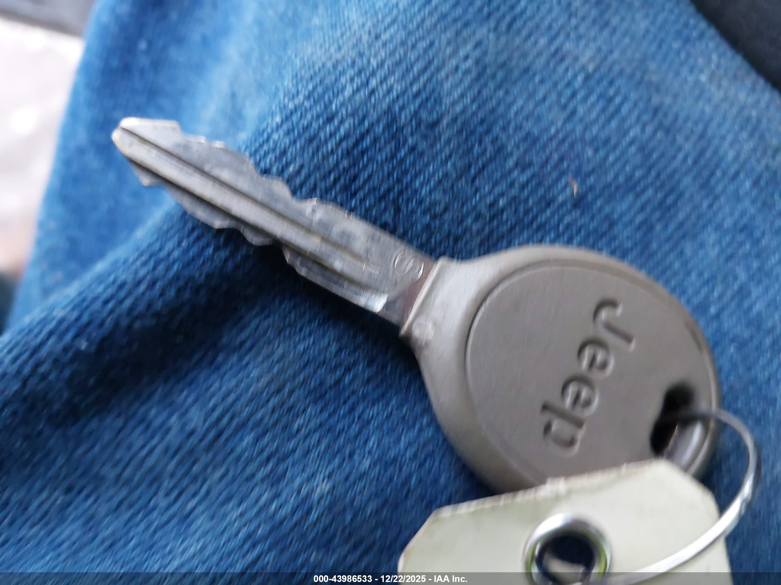 JEEP WRANGLER image 11