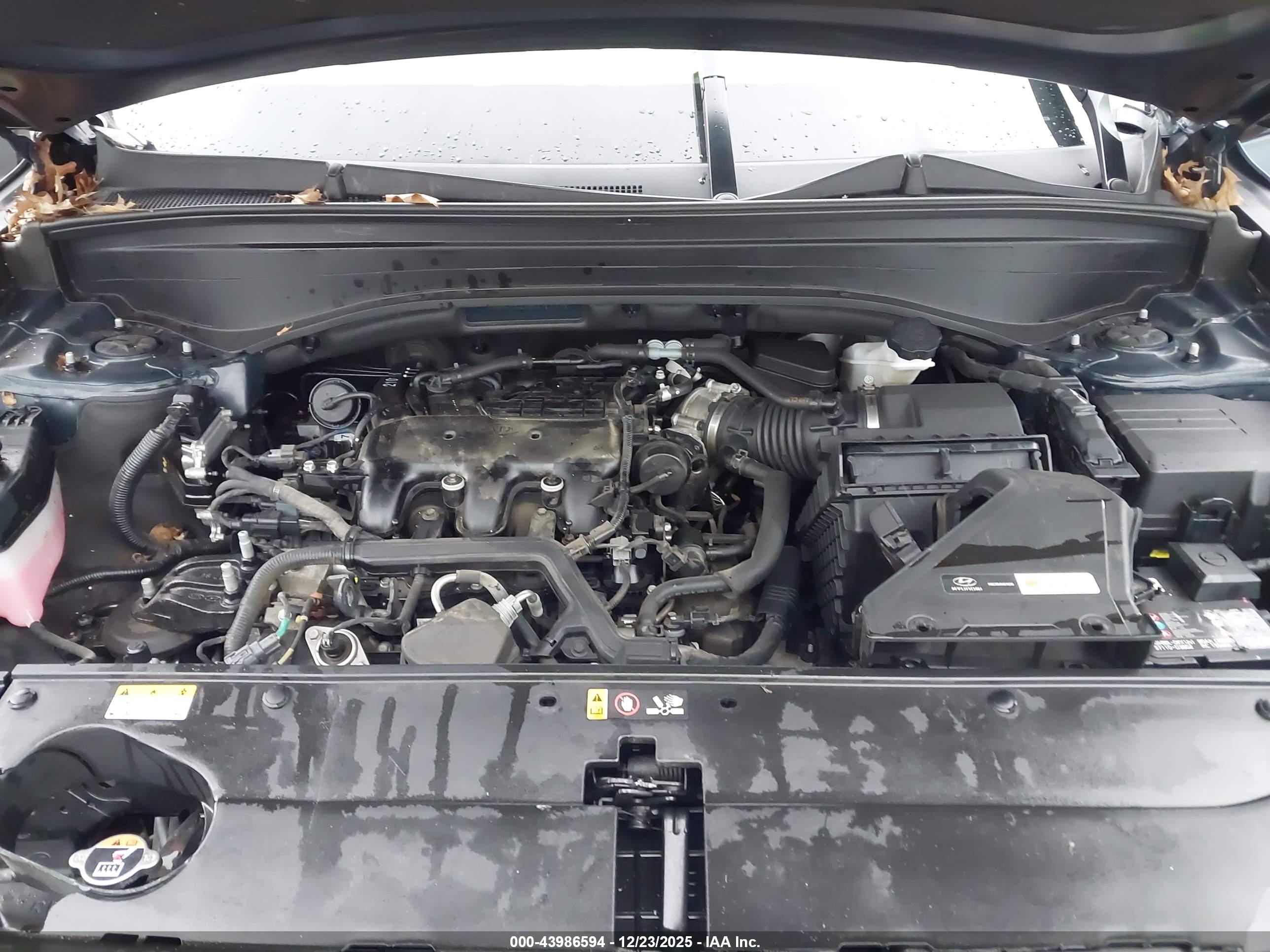 HYUNDAI PALISADE image 10