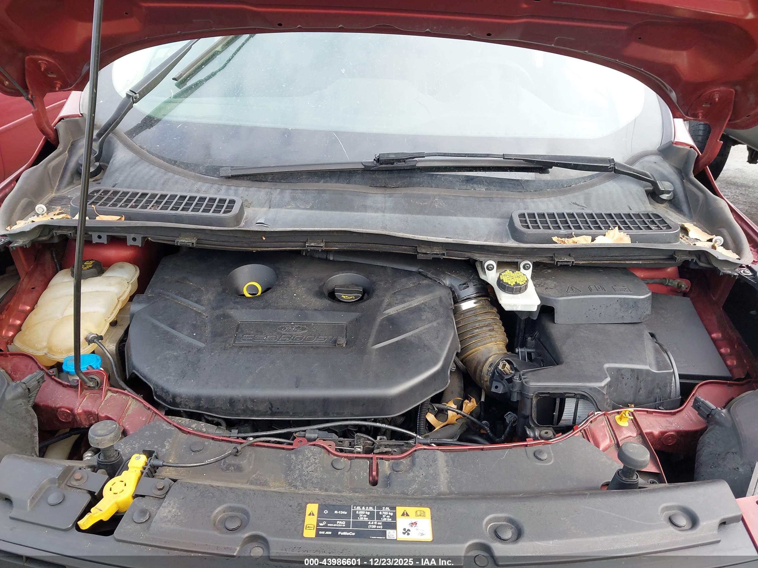 FORD ESCAPE image 10