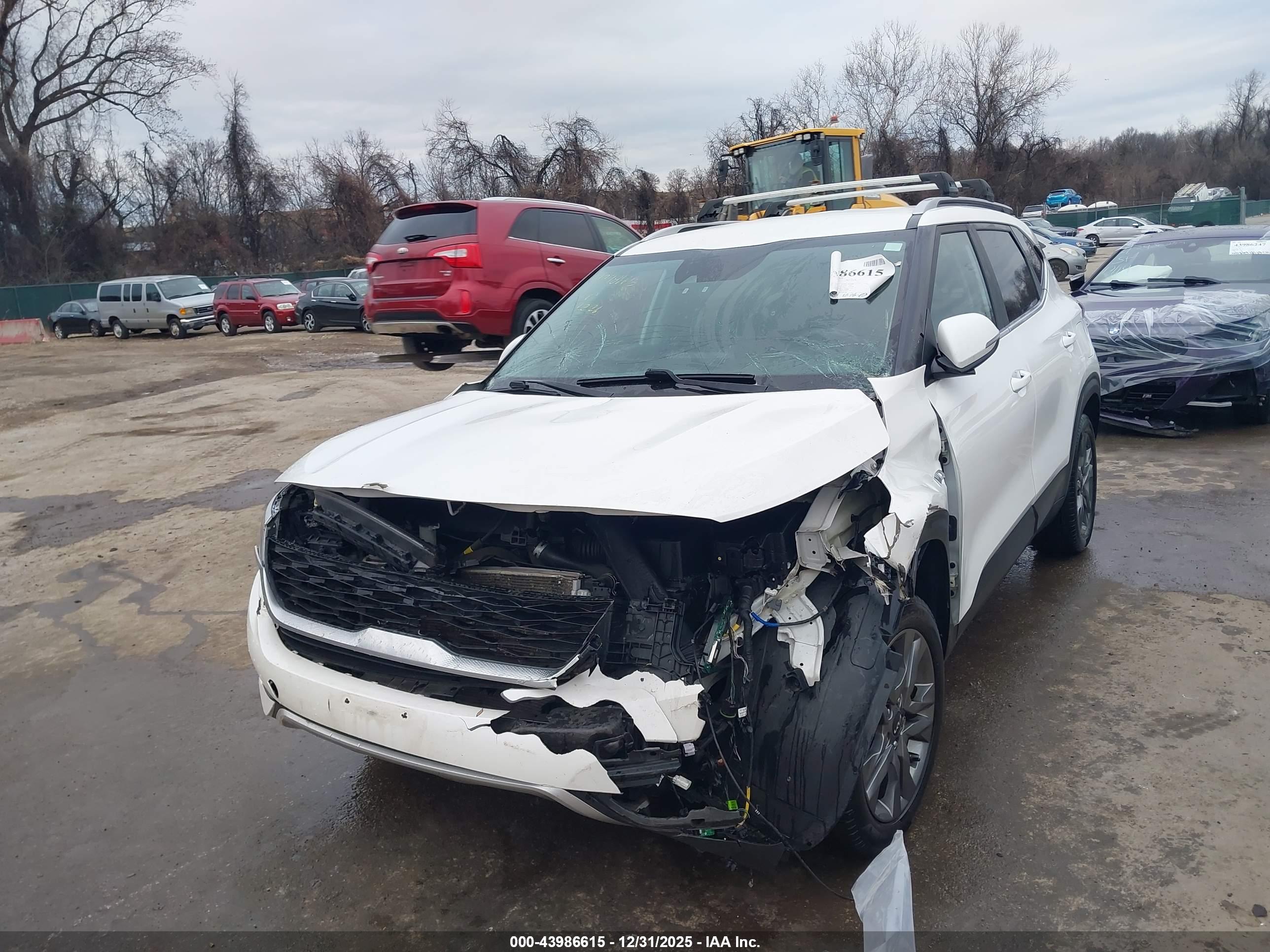 KIA SELTOS image 6