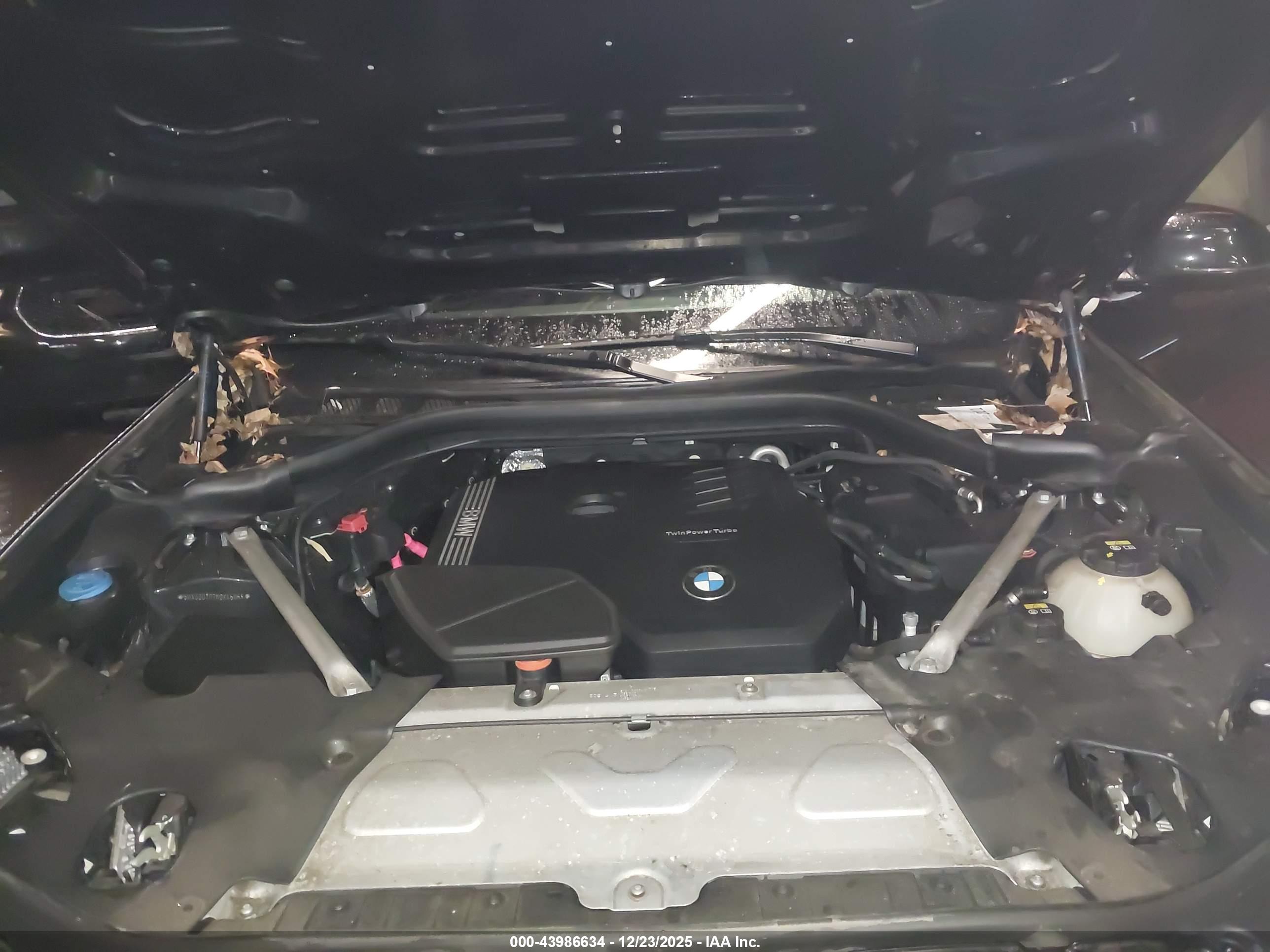 BMW X4 image 10