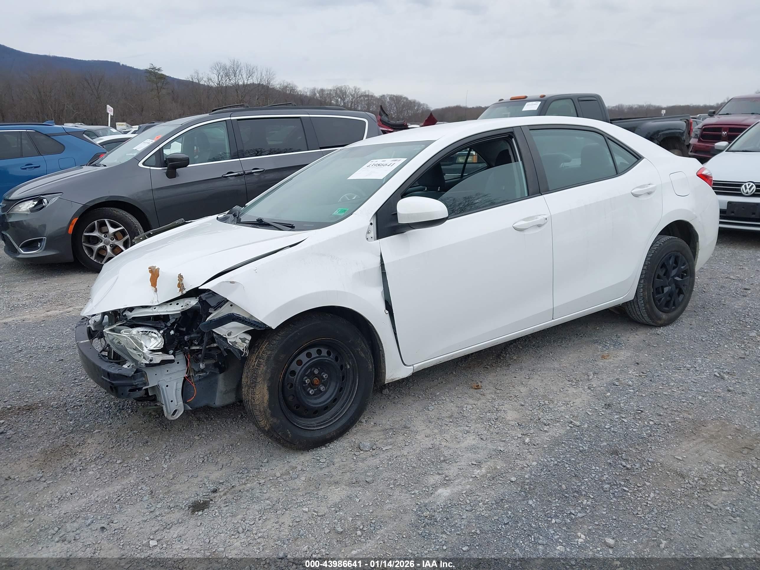 TOYOTA COROLLA image 2