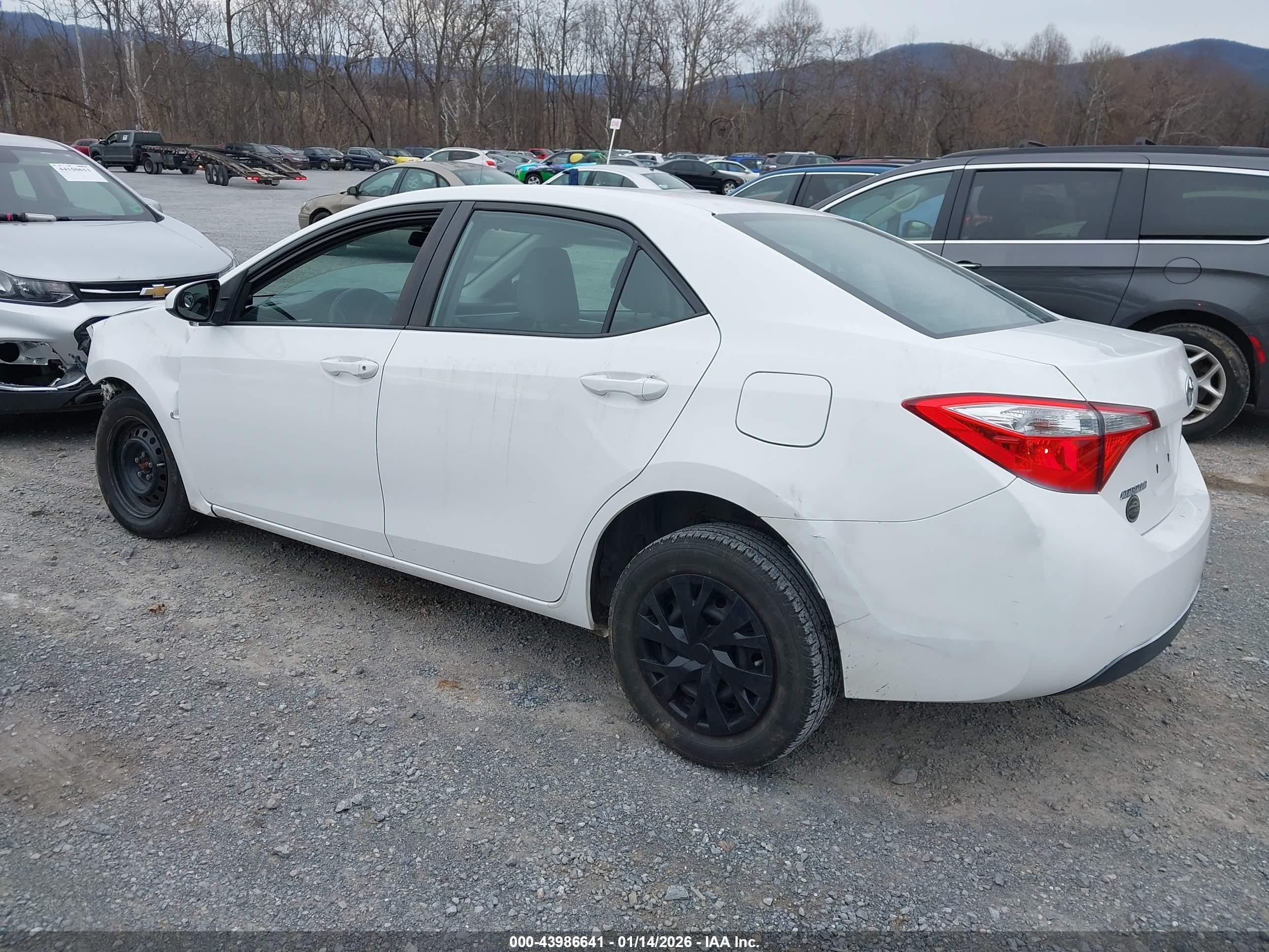 TOYOTA COROLLA image 3