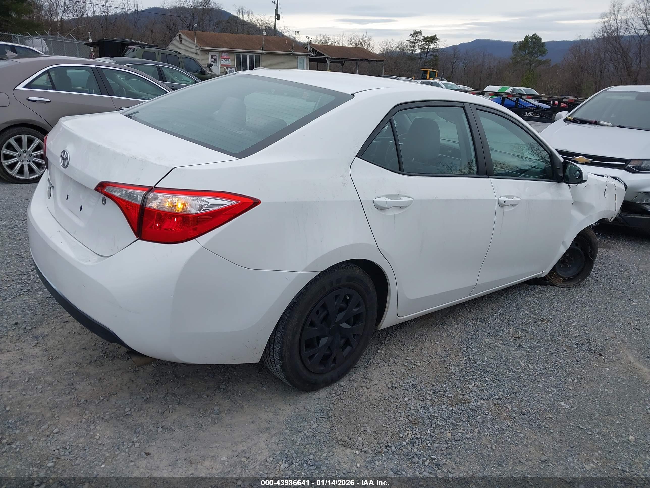 TOYOTA COROLLA image 4