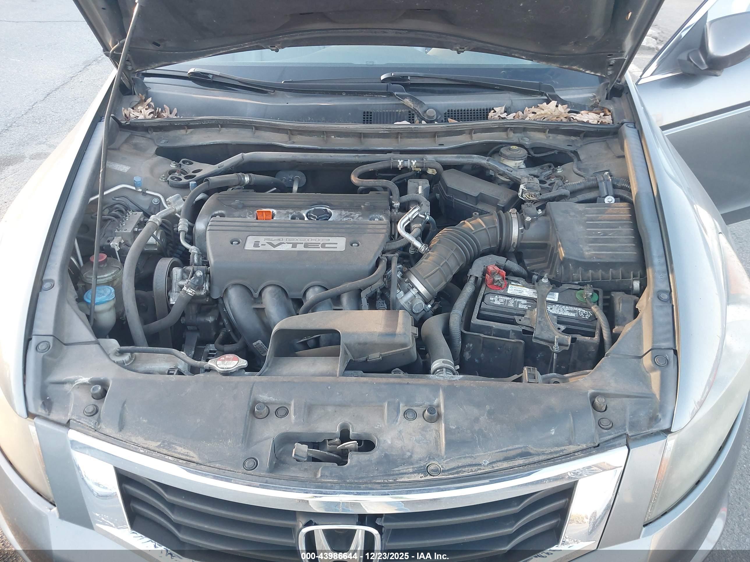 HONDA ACCORD image 10