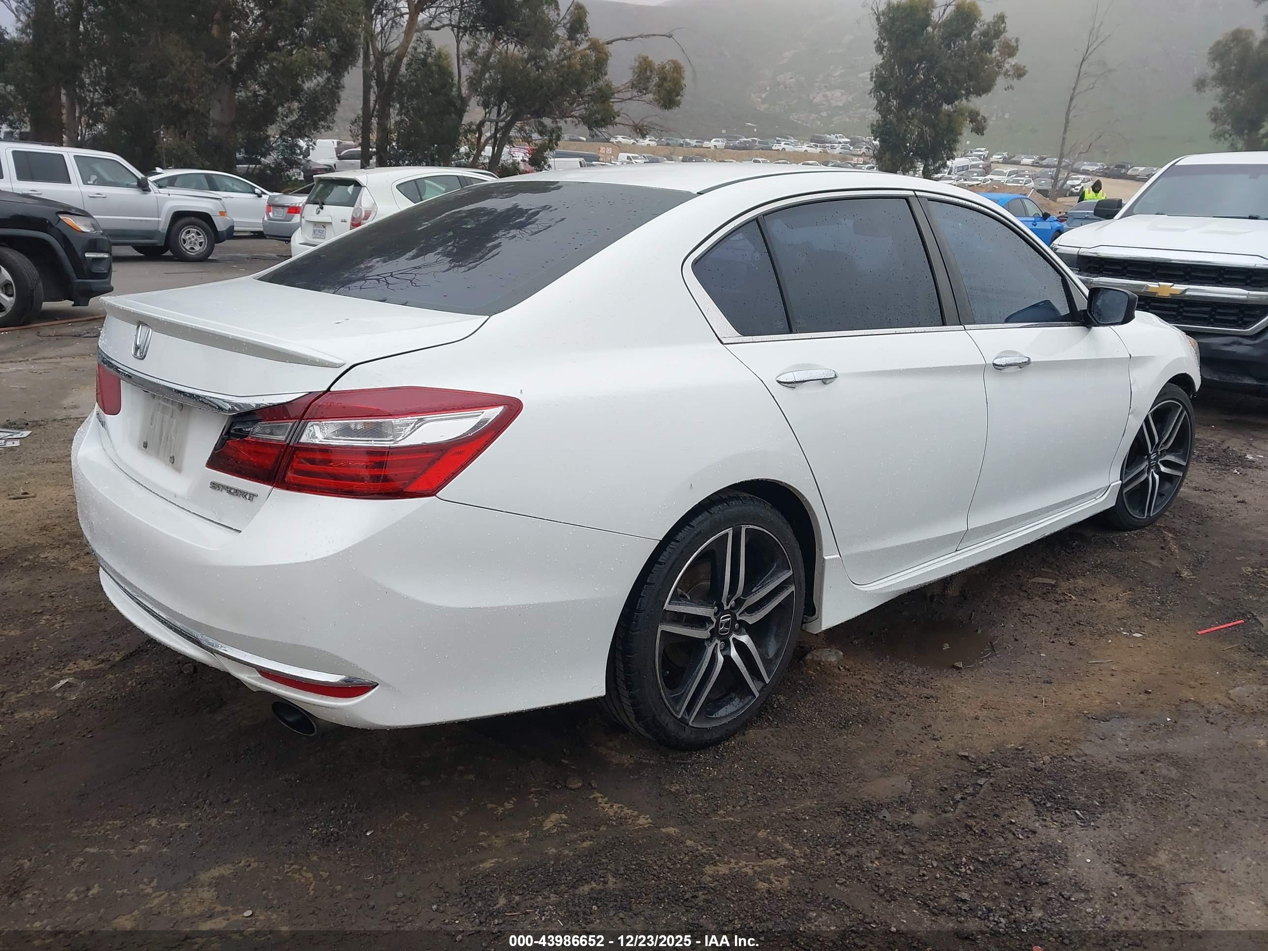 HONDA ACCORD image 4