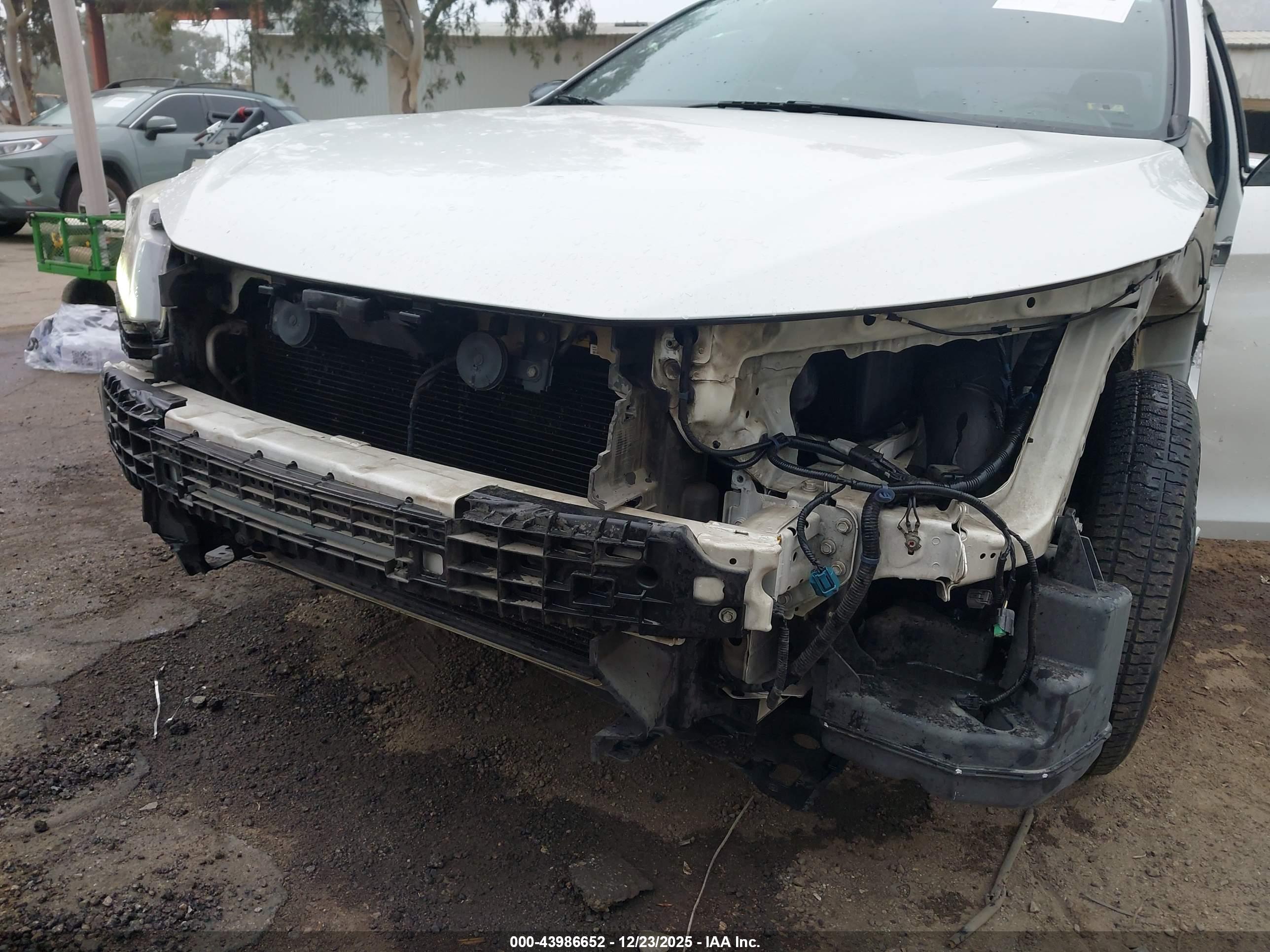 HONDA ACCORD image 6